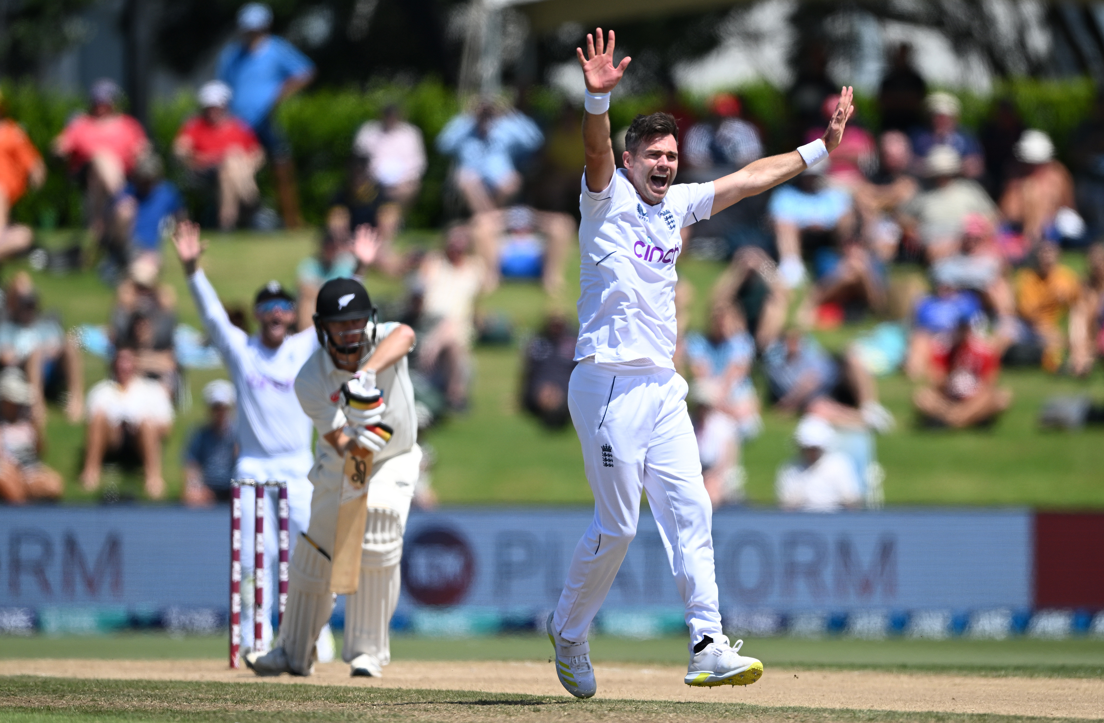Anderson appeals successfully for a wicket on the fourth afternoon. Photo / photosport.nz