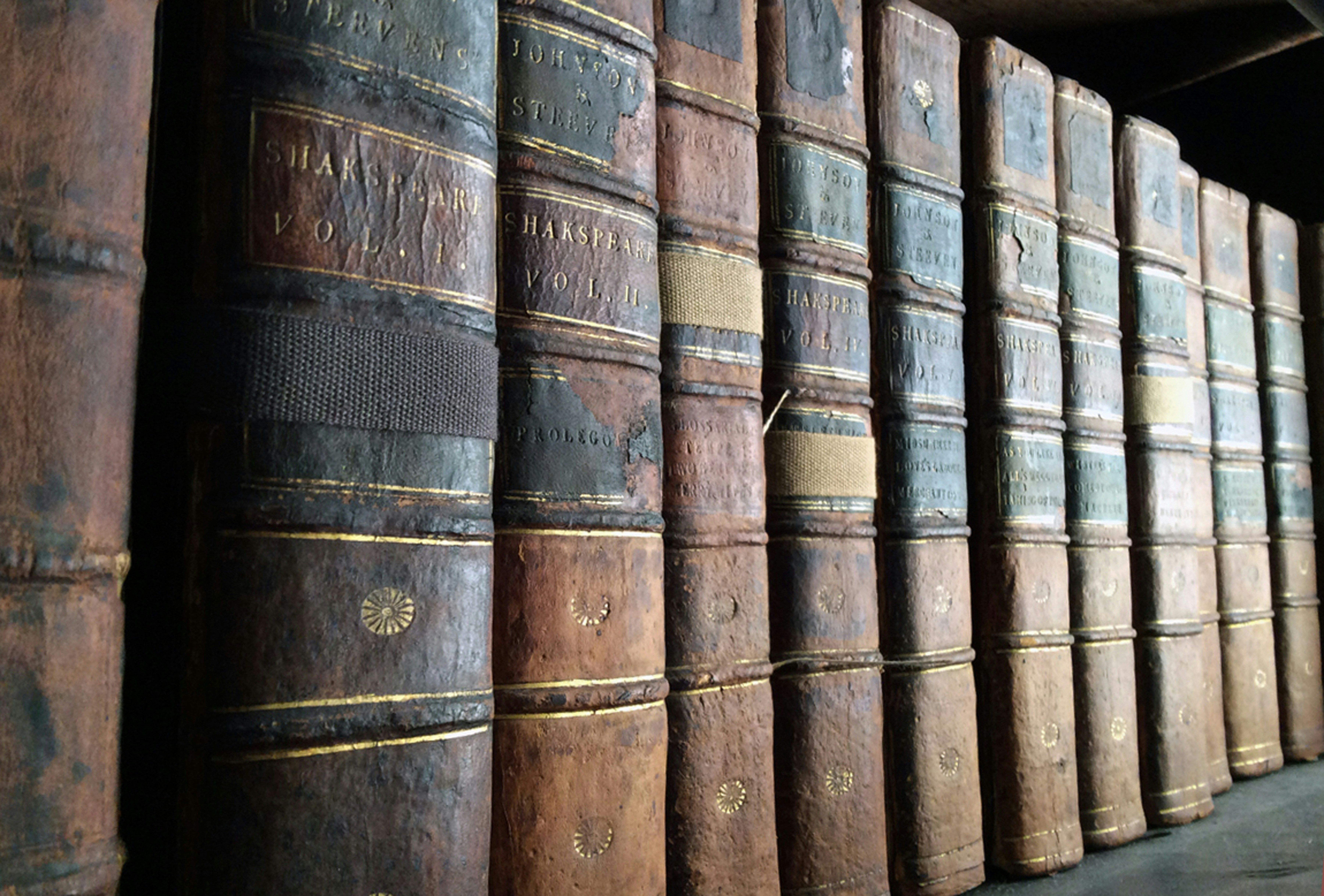 It's not Shakespeare himself who is boring, it's how we read him that's the problem, writes Ilona Hanne. Photo / Unsplash