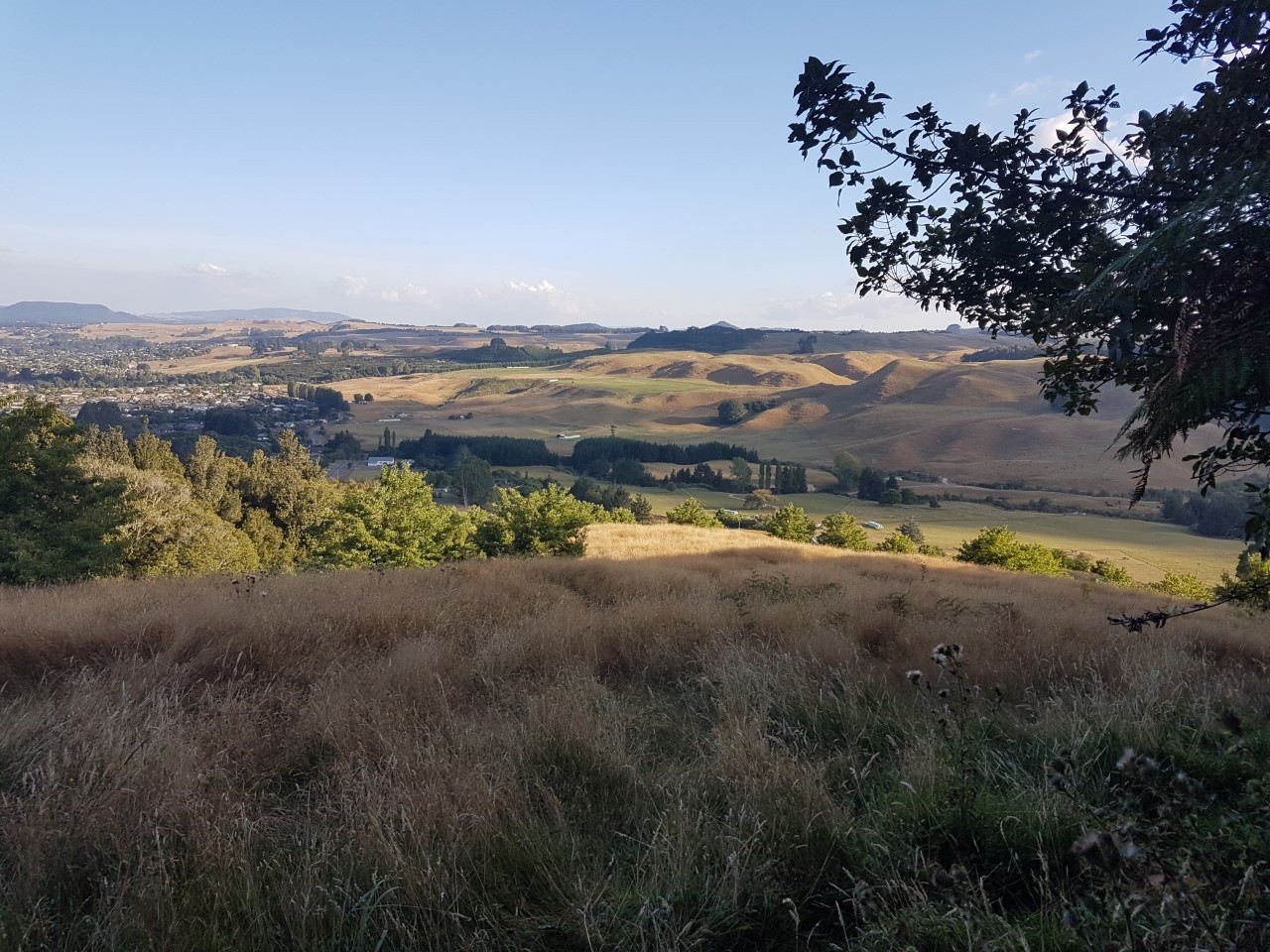 View over Pukehāngi Heights from Mount Ngongotahā. Photo / Supplied