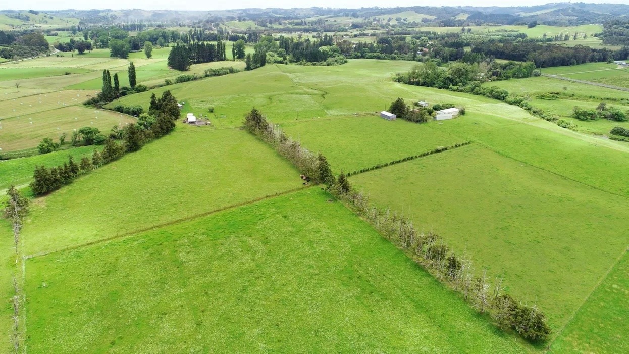 The site in Pamapuria, 10km east of Kaitāia, where Rānui Generation will build the Far North’s third solar farm, capable of powering 6000 households