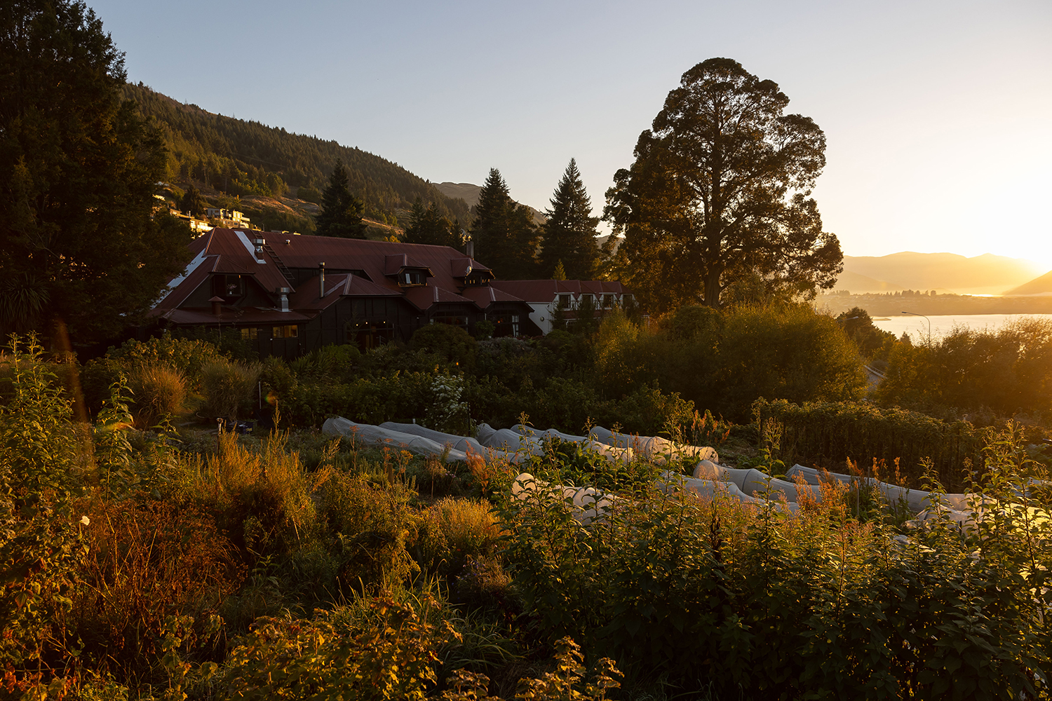 Sunrise from Sherwood. Photo / Supplied