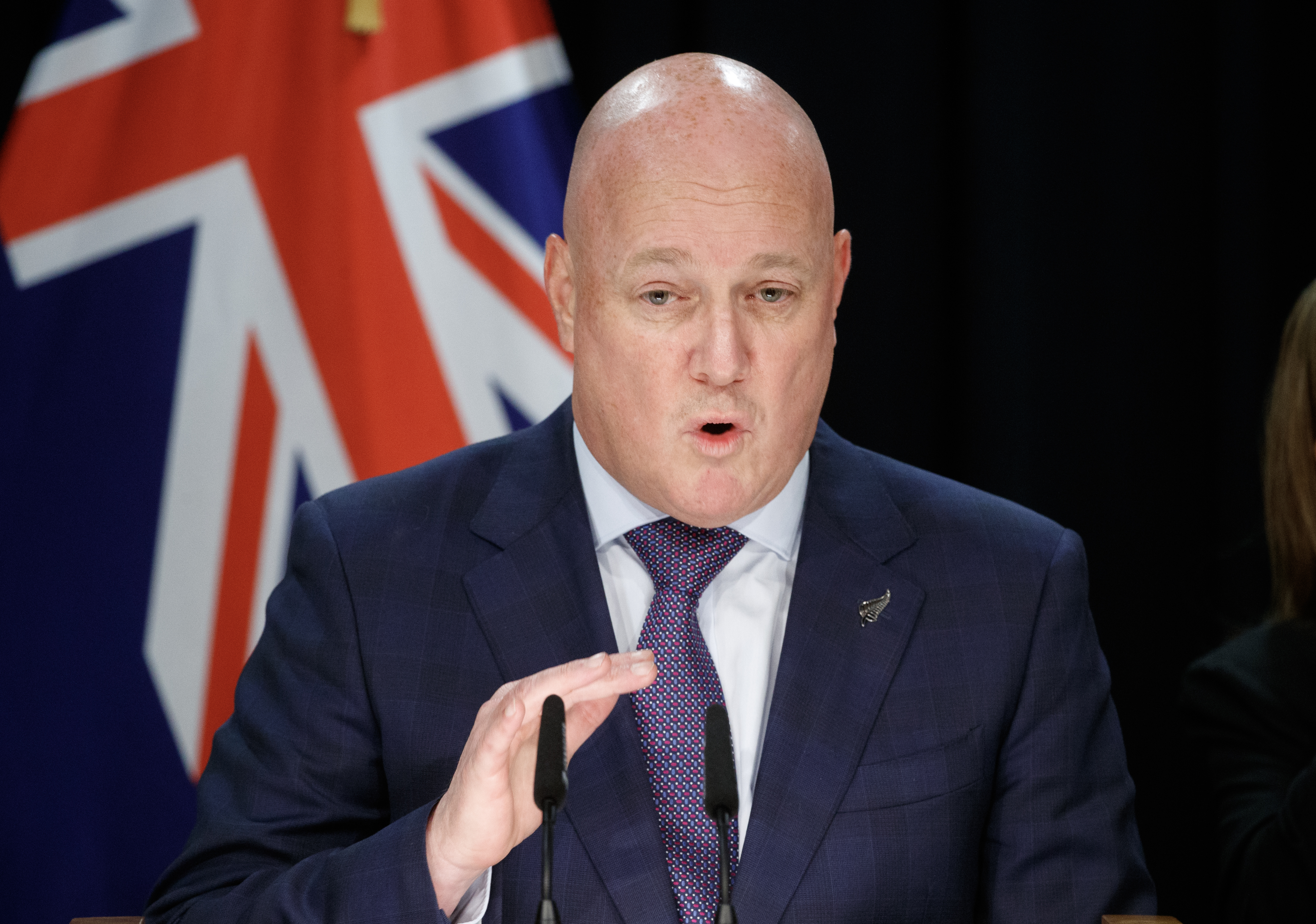 Prime Minister Christopher Luxon has defended his party's approach. Photo / Mark Mitchell

