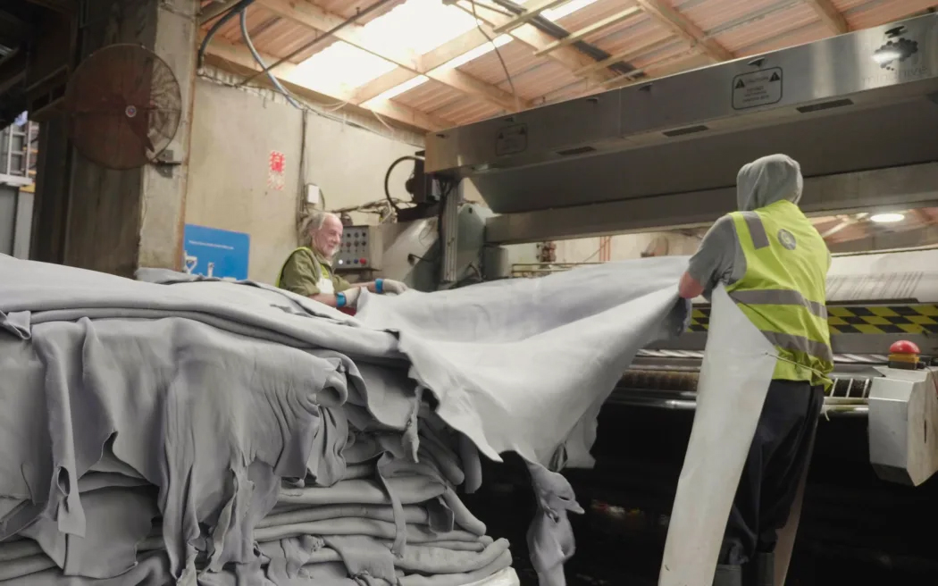 MindHive's artificial intelligence technology detects blemishes on cowhides and grades them at leather tanneries. Photo / RNZ / MindHive
