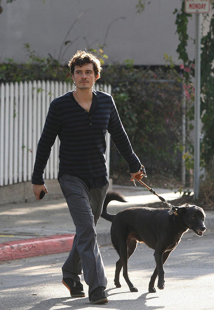 Orlando Bloom Dog Mighty