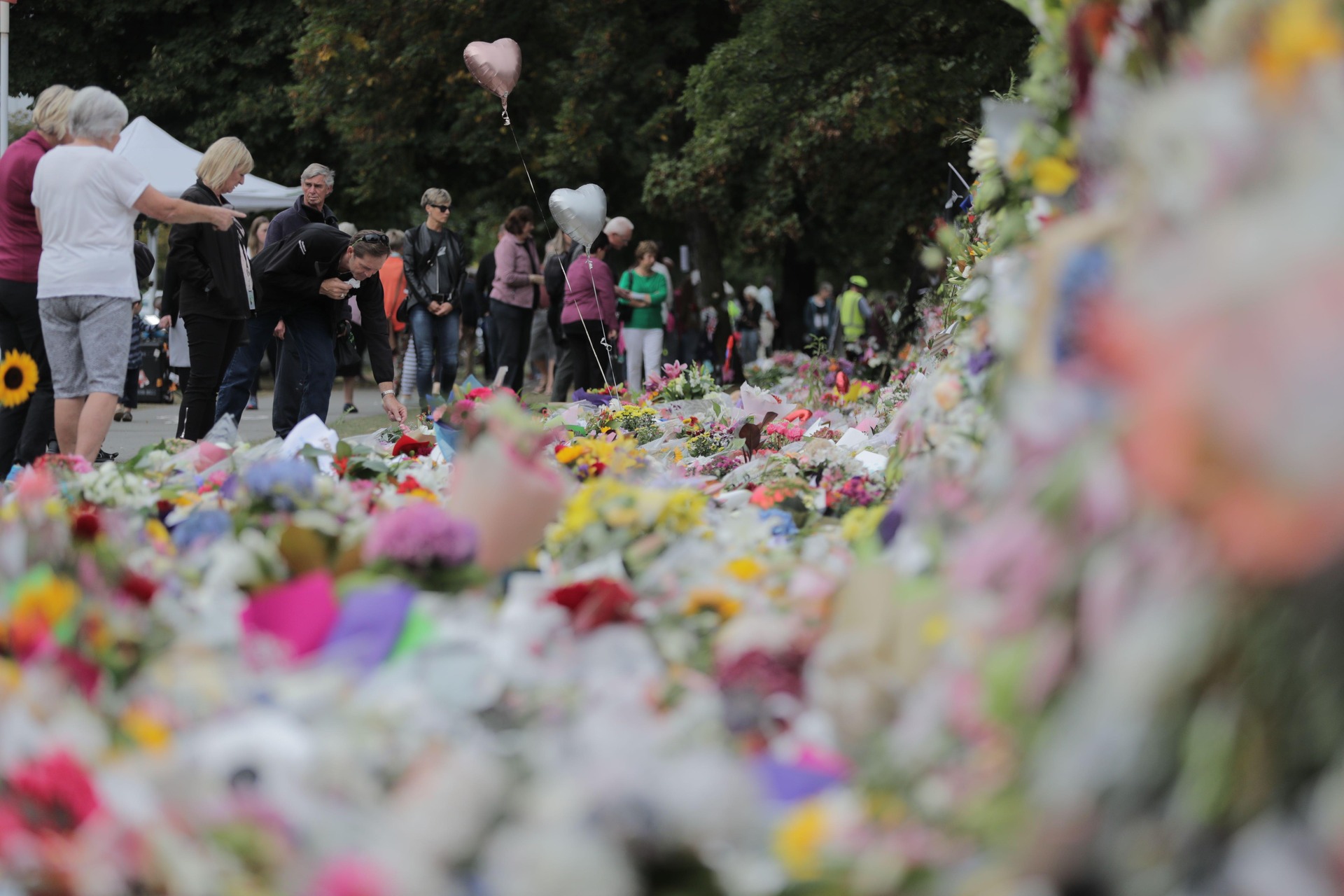 Floral tributes to the Mosque shooting victims in Christchurch. Photo / Michael Craig 