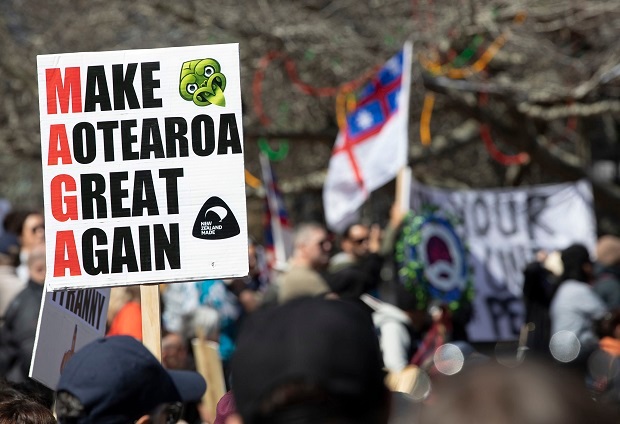 About a few thousand people were out for Advance Party's demonstration against the government's Covid-19 restrictions and lockdowns. Photo / Peter Meecham