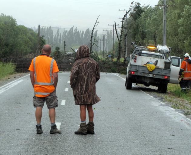 Crews prepare to clear a tree that fell on to power lines in Earnscleugh Rd, near Alexandra about 5pm yesterday. Photo / Pam Jones