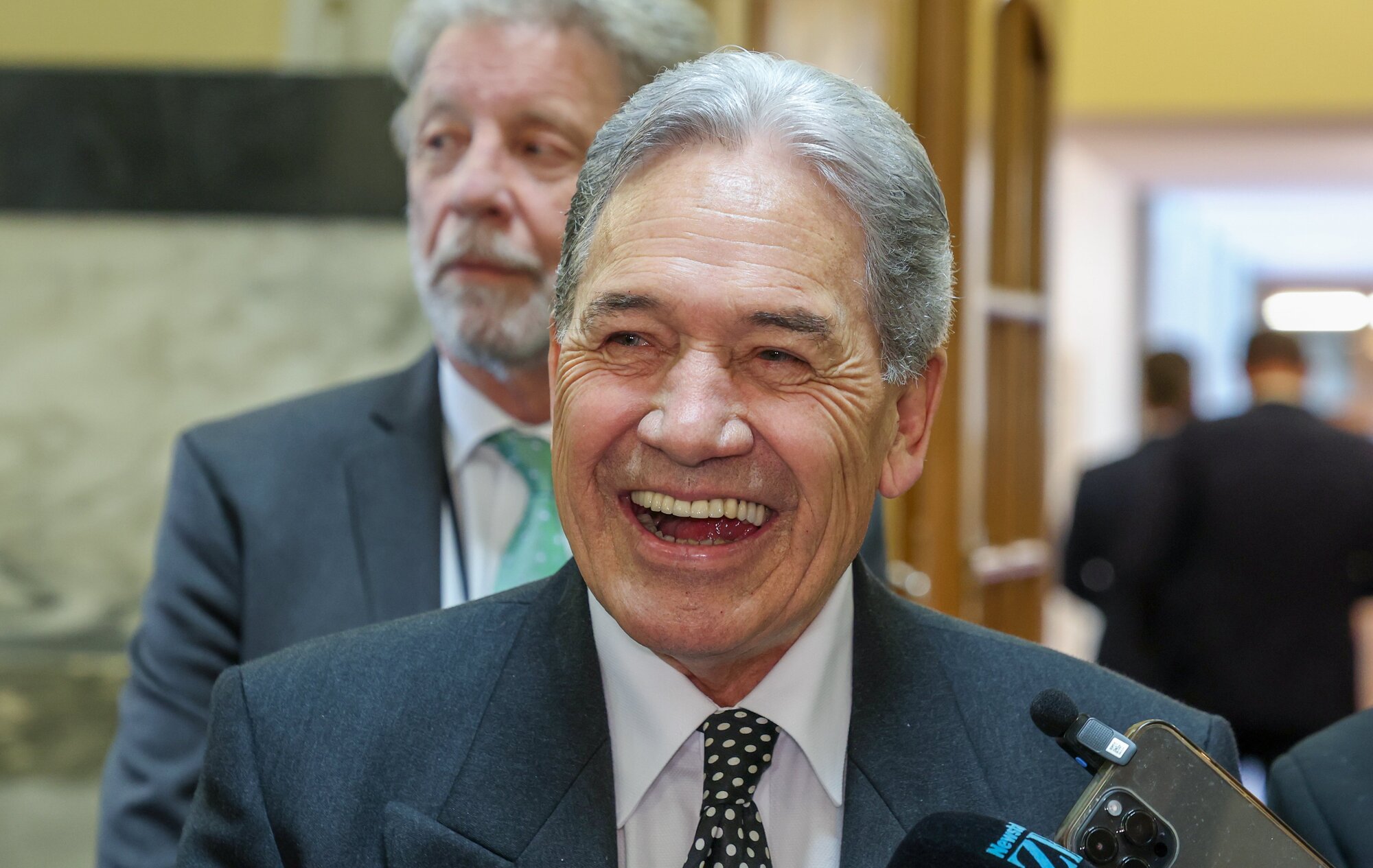 NZ First leader Winston Peters has steadily risen in preferred PM rankings in the poll. Photo / Mark Mitchell 