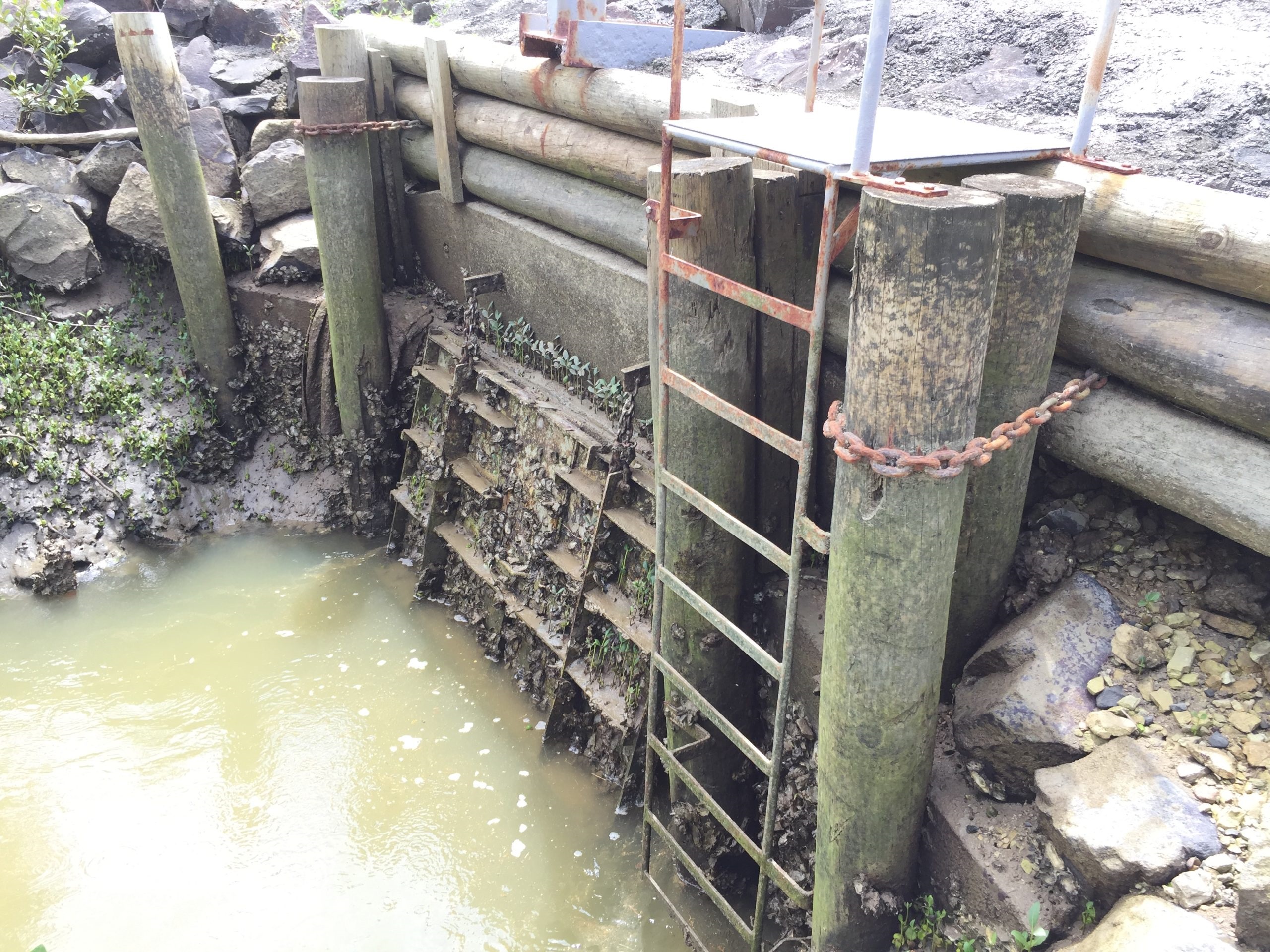 A Ruawai drainage scheme floodgate. Photo / Susan Botting