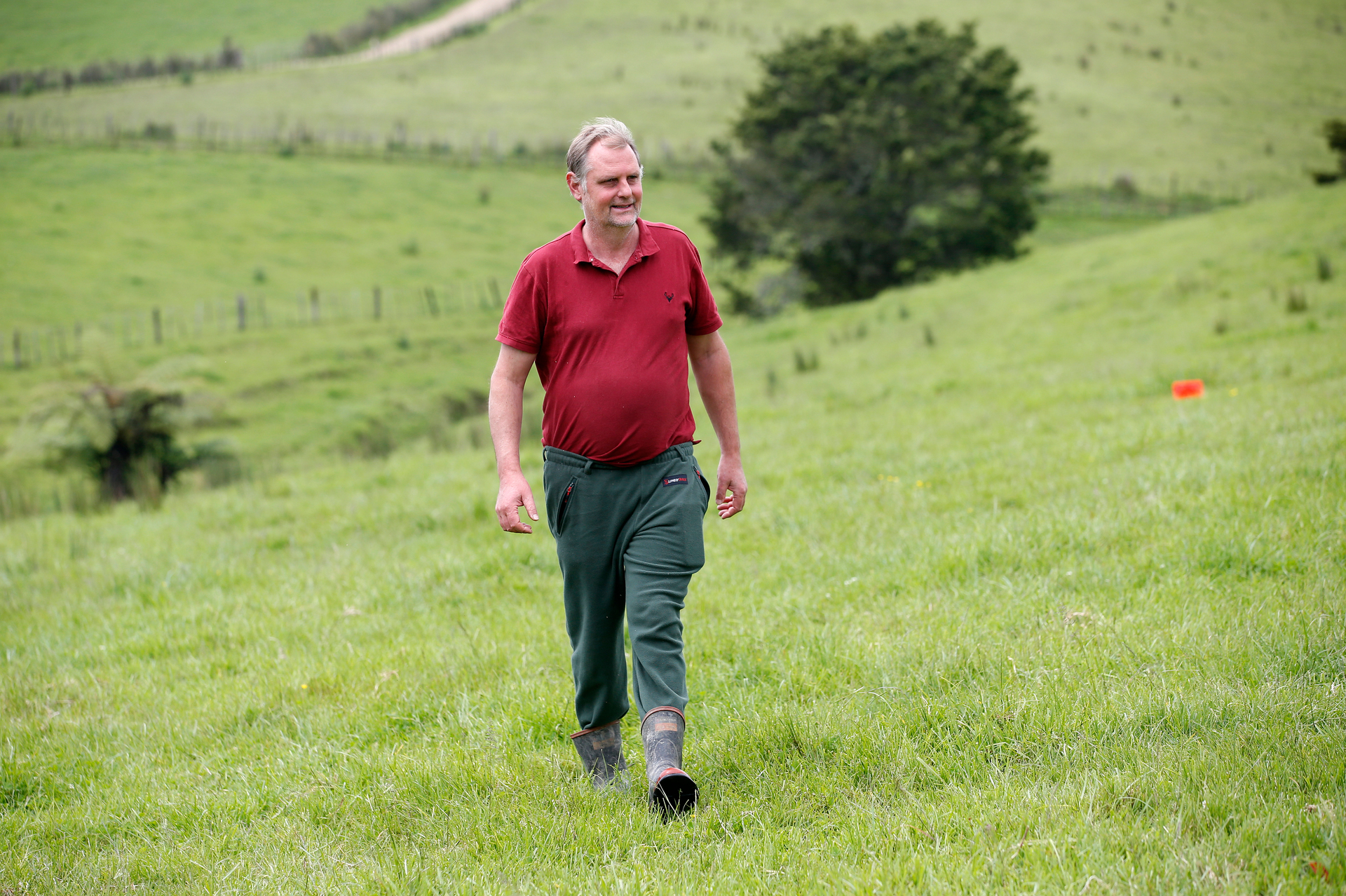 Sustainable dairy farmer Matt Long is milking 200-250 cows on his family farm. Photo / Michael Cunningham