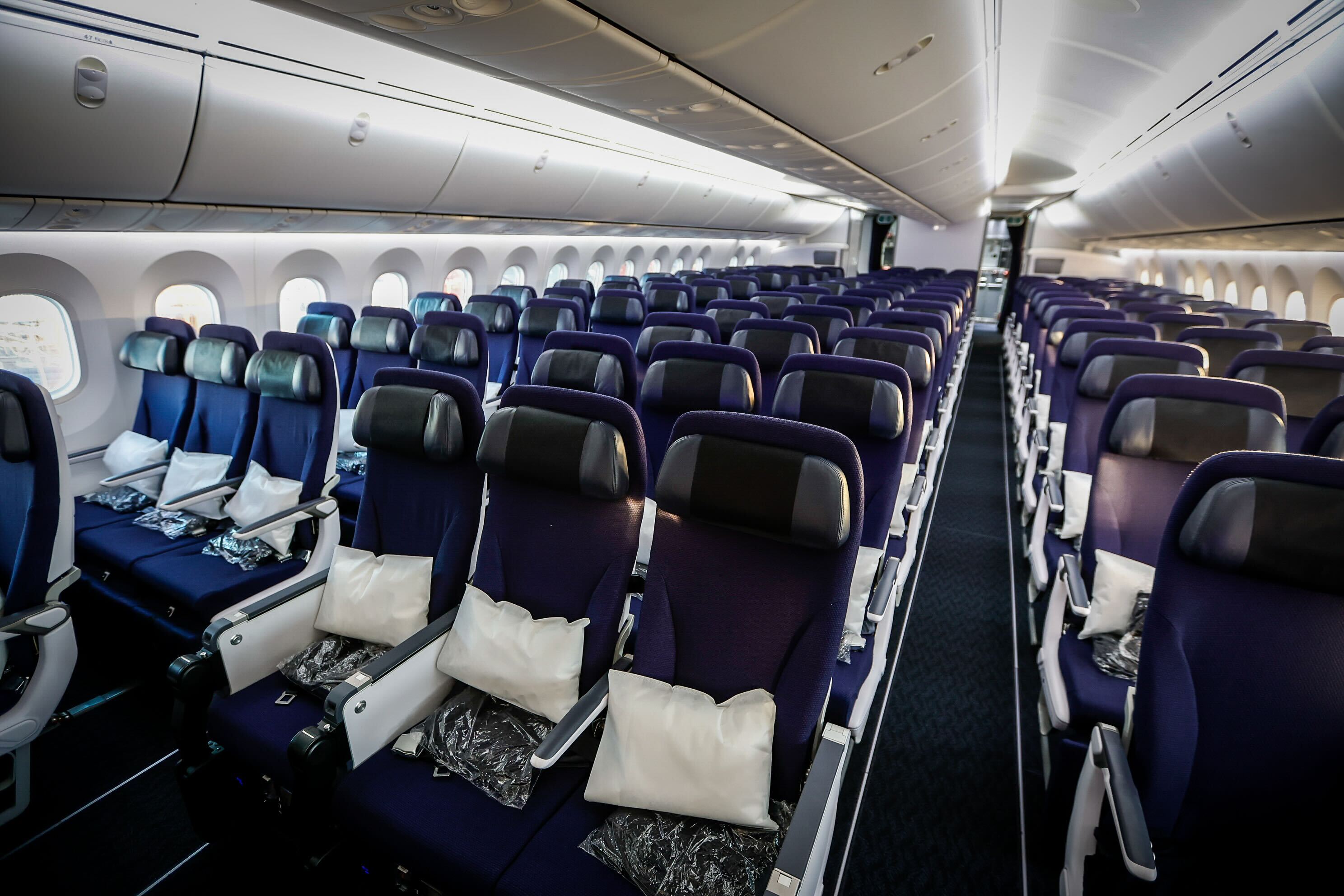 Economy class in the refurbished cabin. Photo / Michael Craig