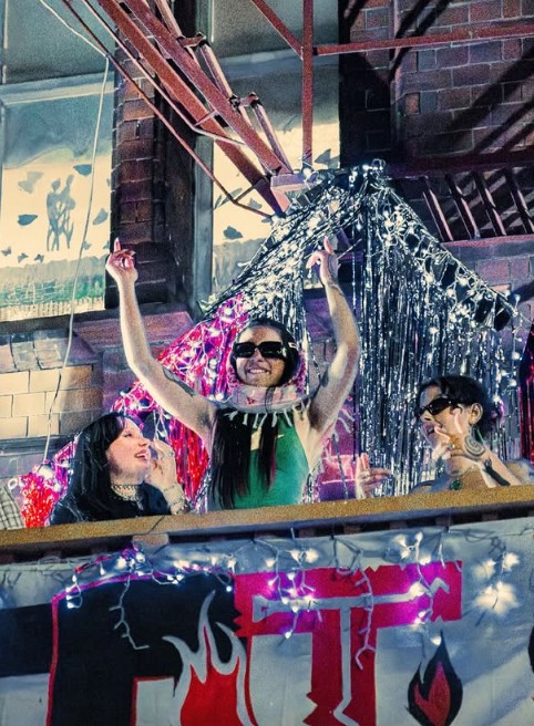 Green's Wellington Central MP Tamatha Paul played a DJ set at CubaDupa, including multiple anti-police songs.