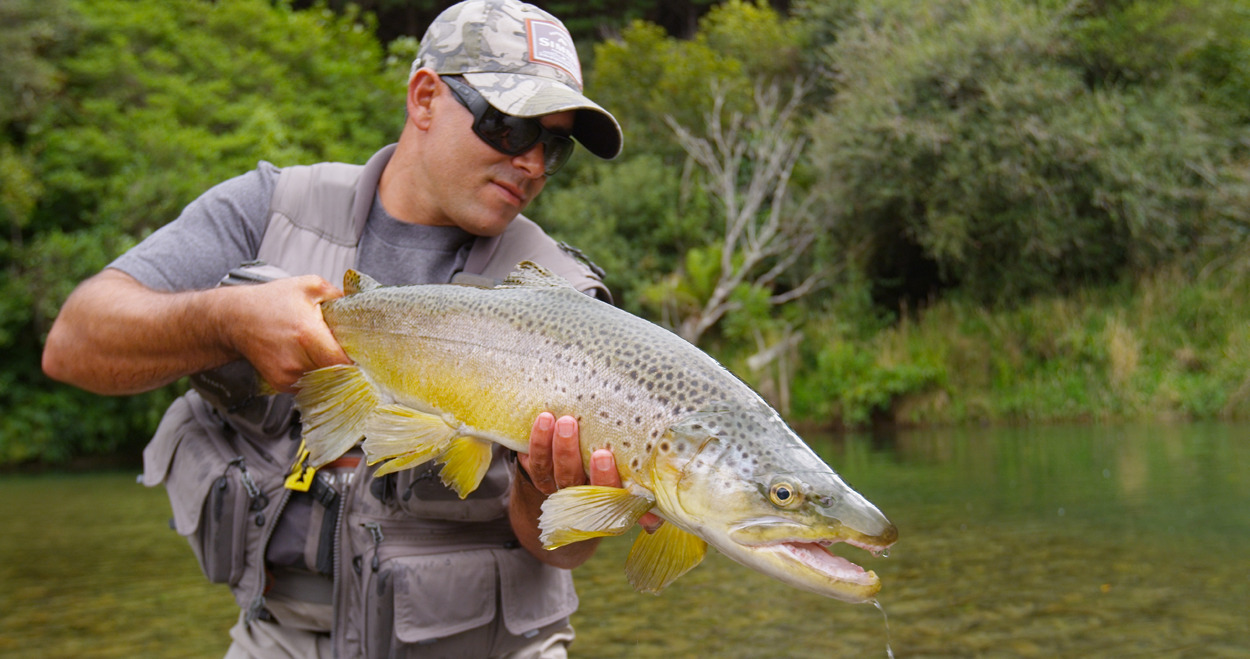 Fishing Tekapo Brown Trout Biggest Nz Herald
