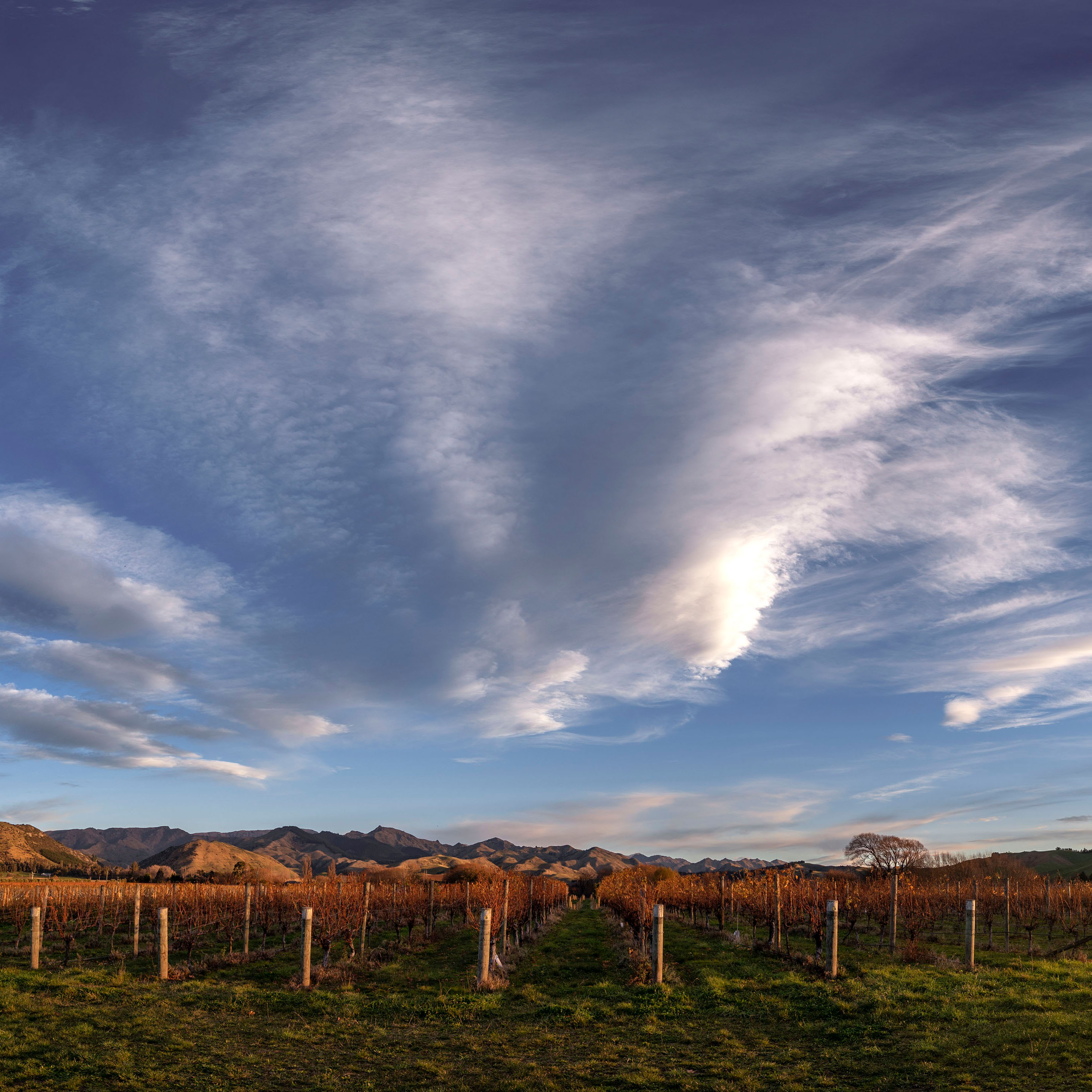 Greywacke