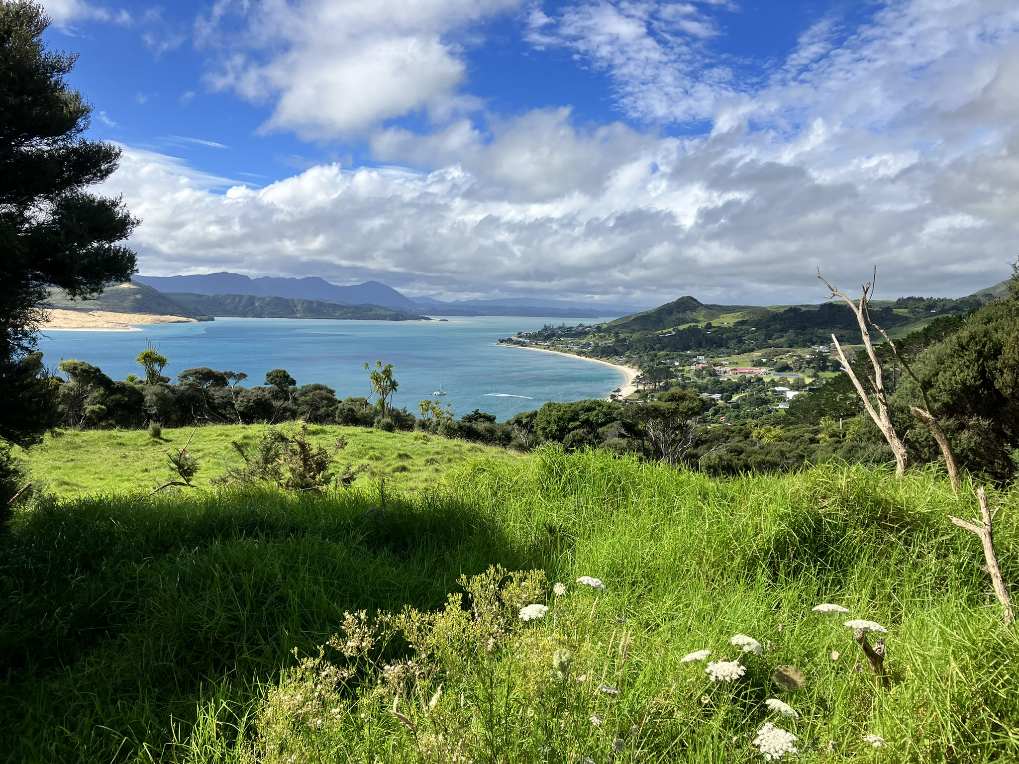 Ōpononi, along with nearby Ōmāpere, may have Level 4 water restrictions applied, which is a worrying thought for local businesses. Photo / John Williamson