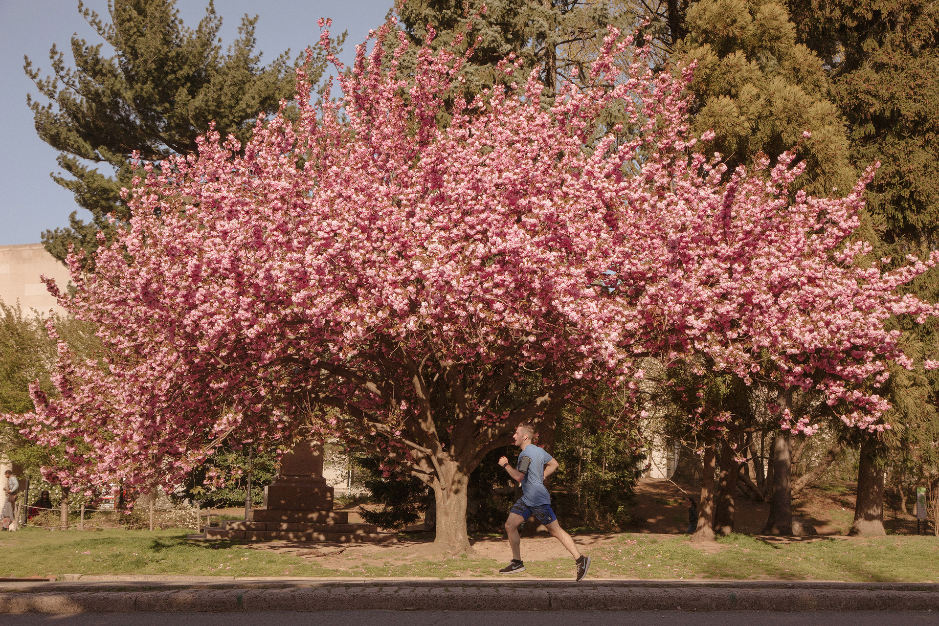 Getting back into running can be intimidating. Photo / Landon Speers, The New York Times