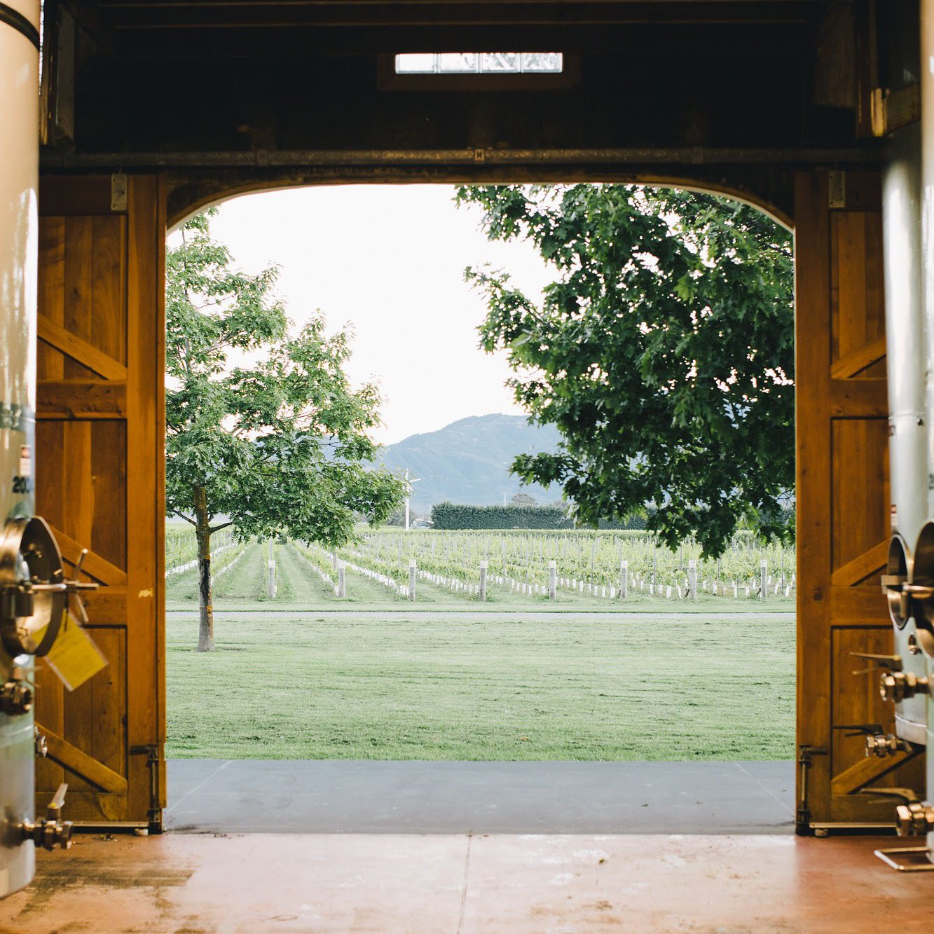 Isabel winery