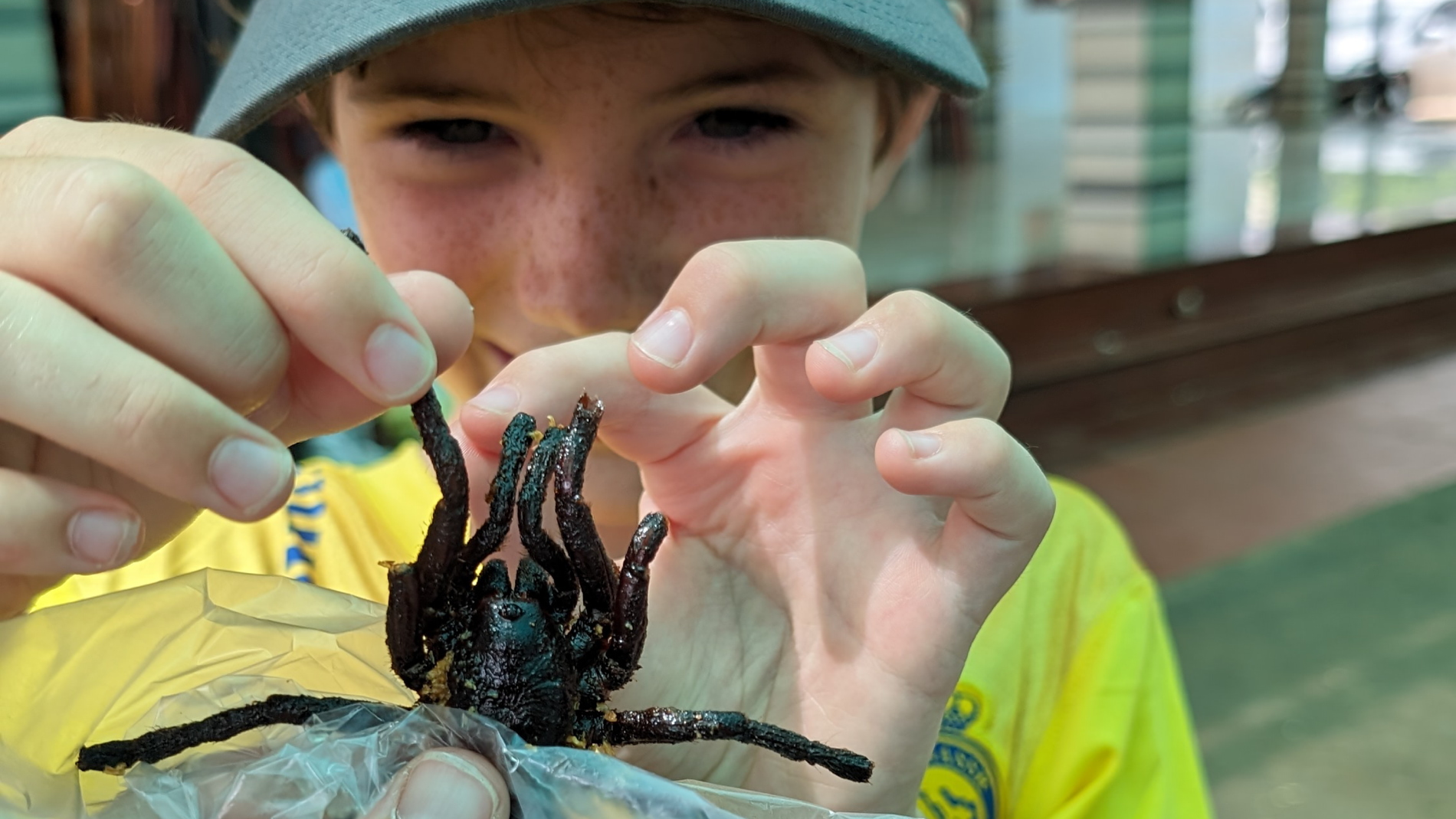 Here's how to not have a tummy ache while eating in Southeast Asia. Photo / Chris Stead