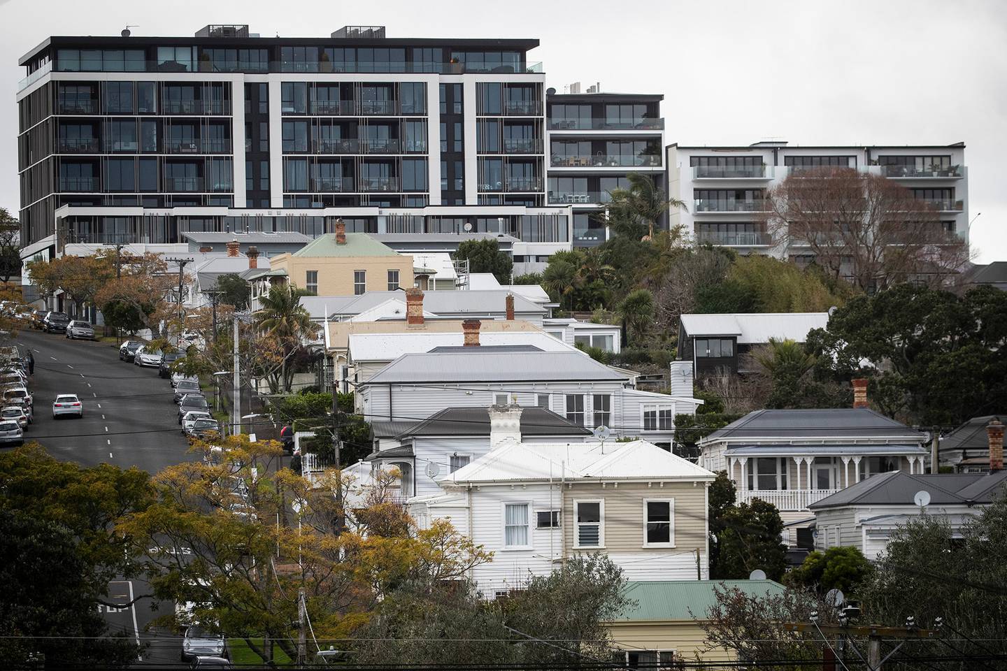 Labour and National want fewer single homes and more intensifcation across Auckland. Photo / Jason Oxenham