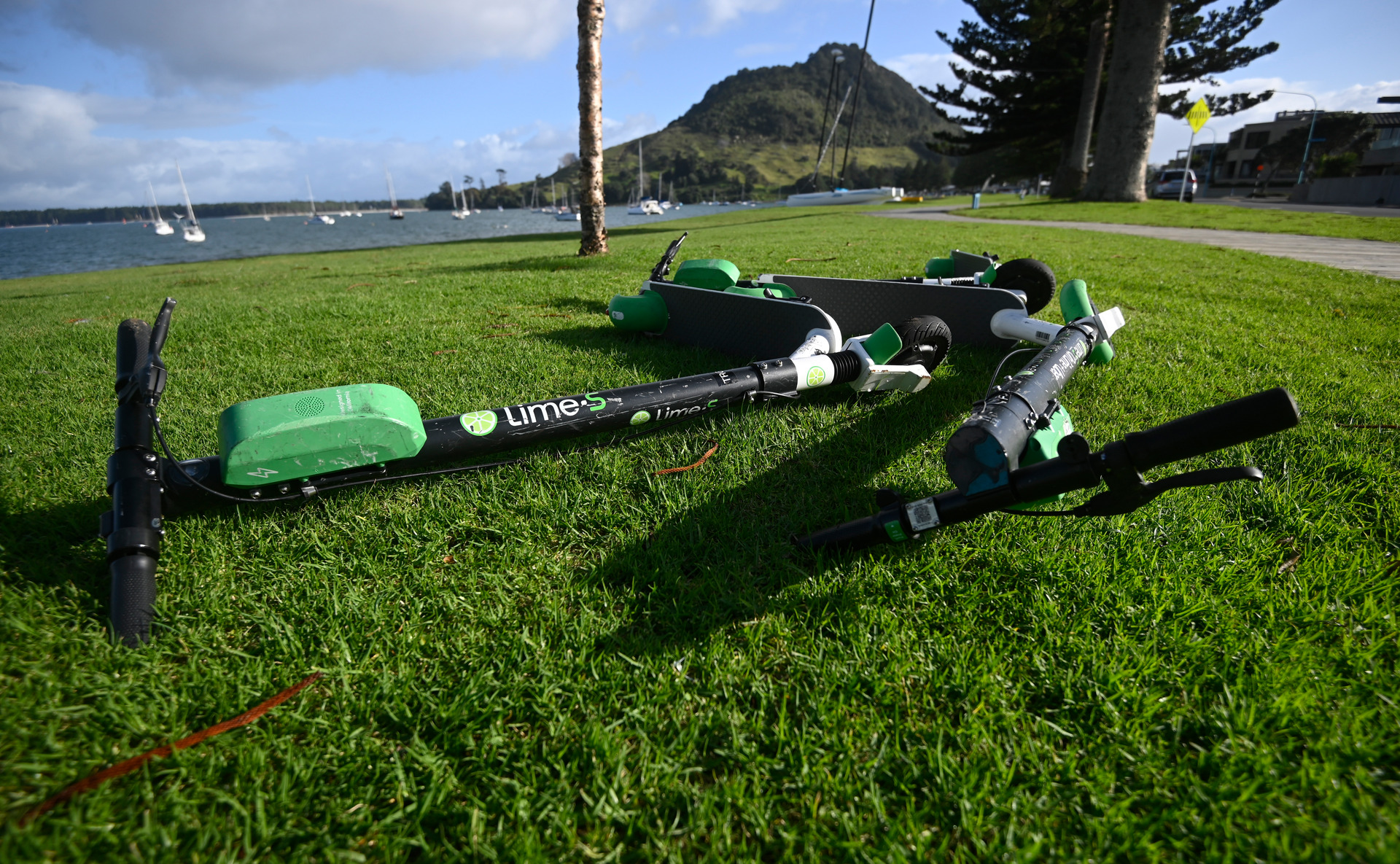 Dine on a Lime: Bay of Plenty foodies have listed their eighteen favourite venues around the Mount, within reach by e-scooter. Photo / George Novak 
