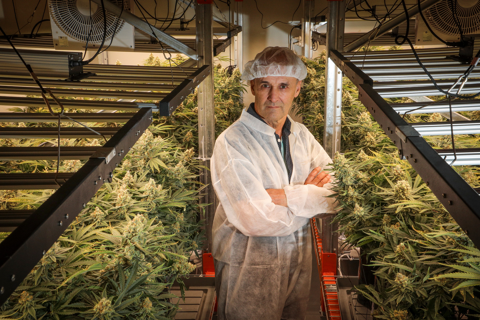 Eqalis managing director Greg Misson at the Eqalis NZ medicinal cannabis research facility in Katikati. Photo / Andrew Warner