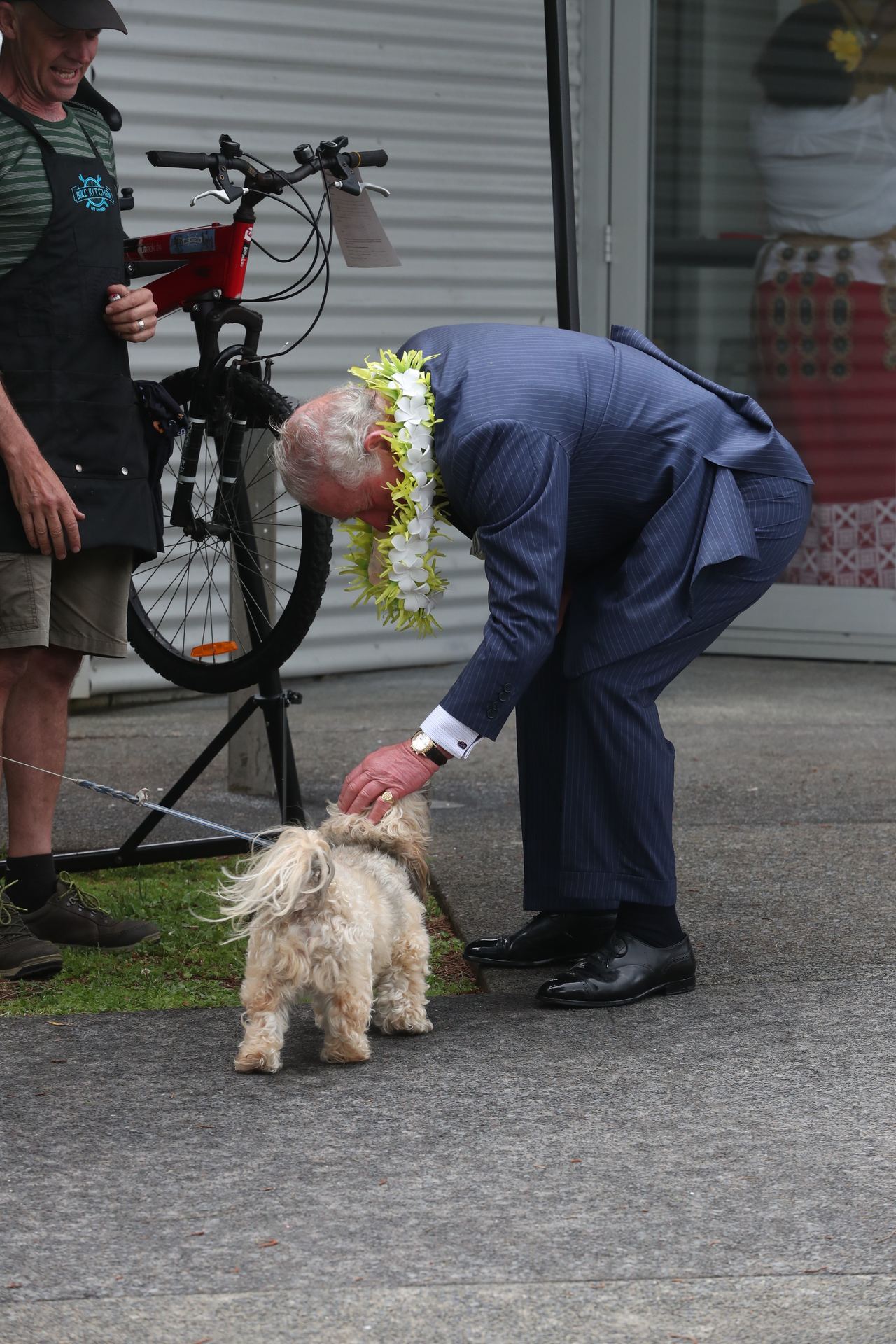 Prince Charles pats a dog at the Wesley Community Centre in Mount Roskill. Photo / Jason Oxenham 