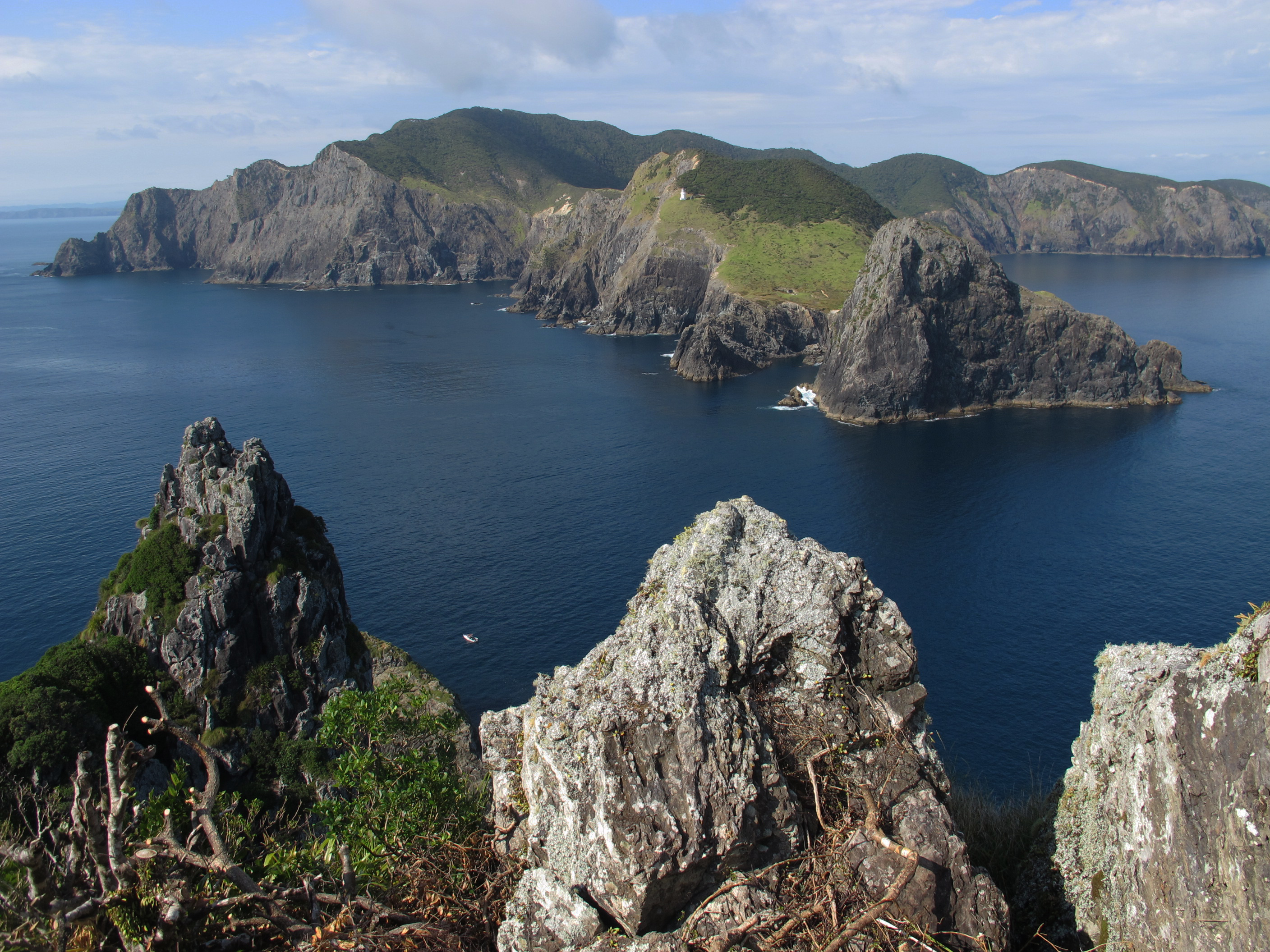 Commercial fish harvesting methods such as bottom trawling and purse seining will be banned to a depth of 100 metres around Cape Brett. Photo / Peter de Graaf
