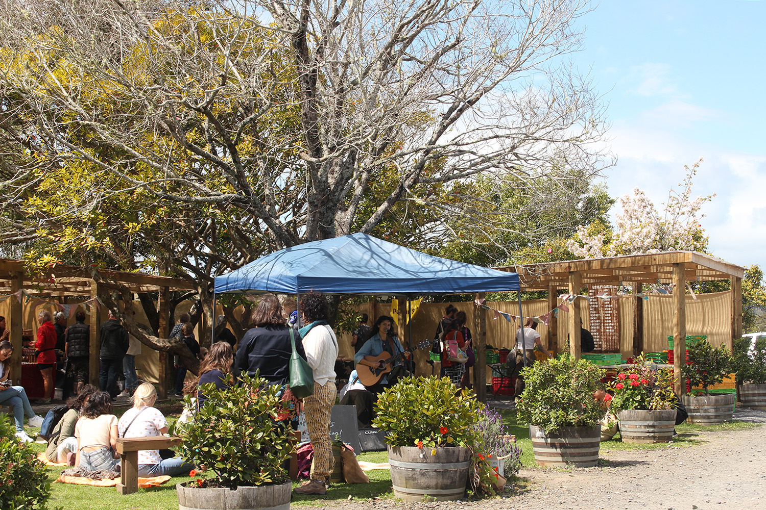This Oratia market offers up vegan fare with a sunny outlook. Photo / Madeleine Crutchley