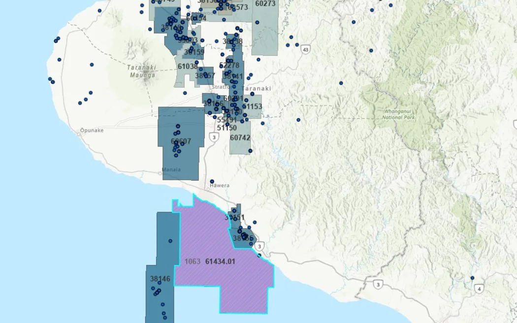 The block EnZed Energy has applied to explore for oil and gas is shown in purple. Photo / Screenshot (NZPAM)