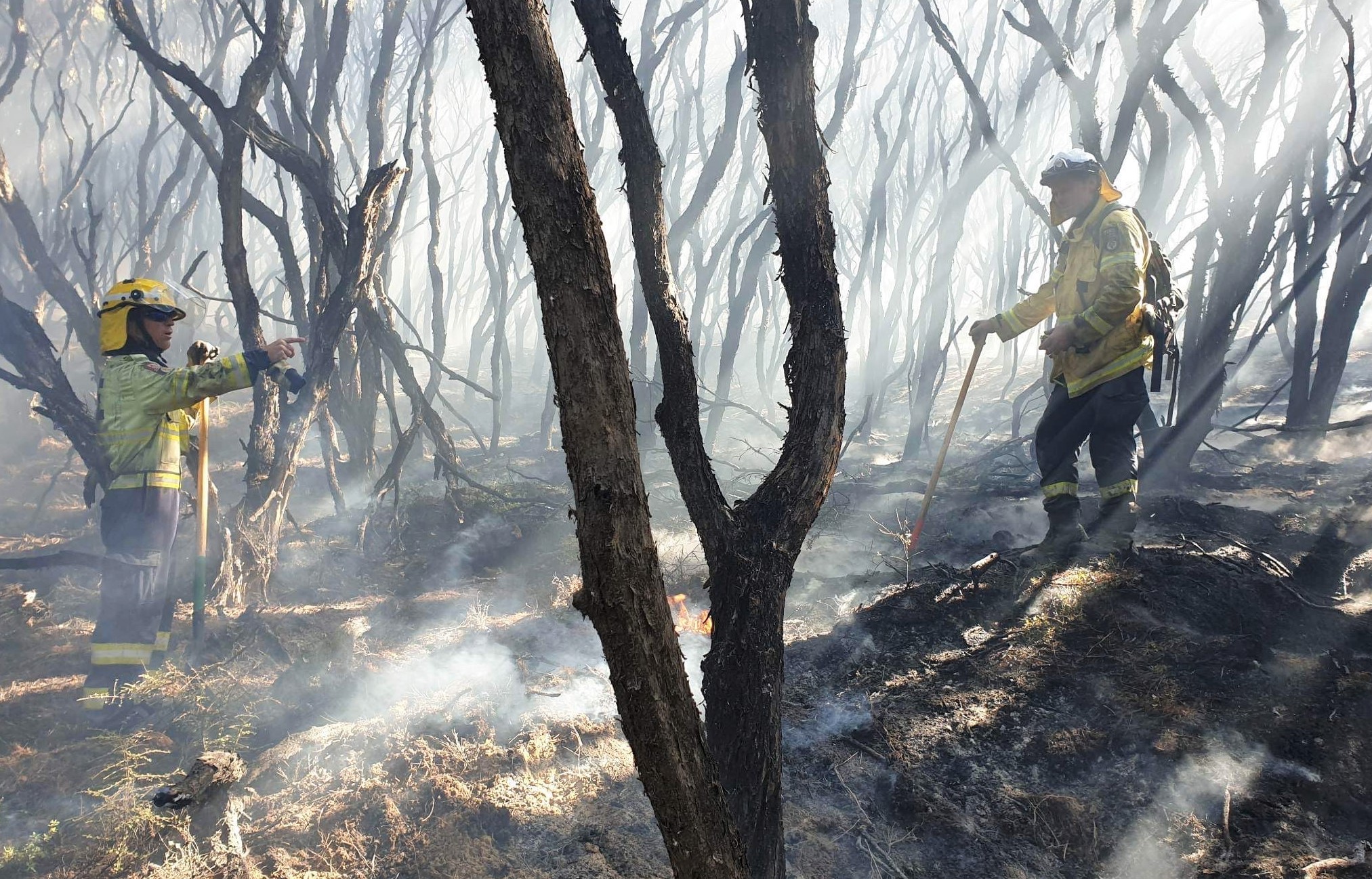 Firefighters at work among charred mānuka trees south of Cape Rēinga. Photo / FENZ