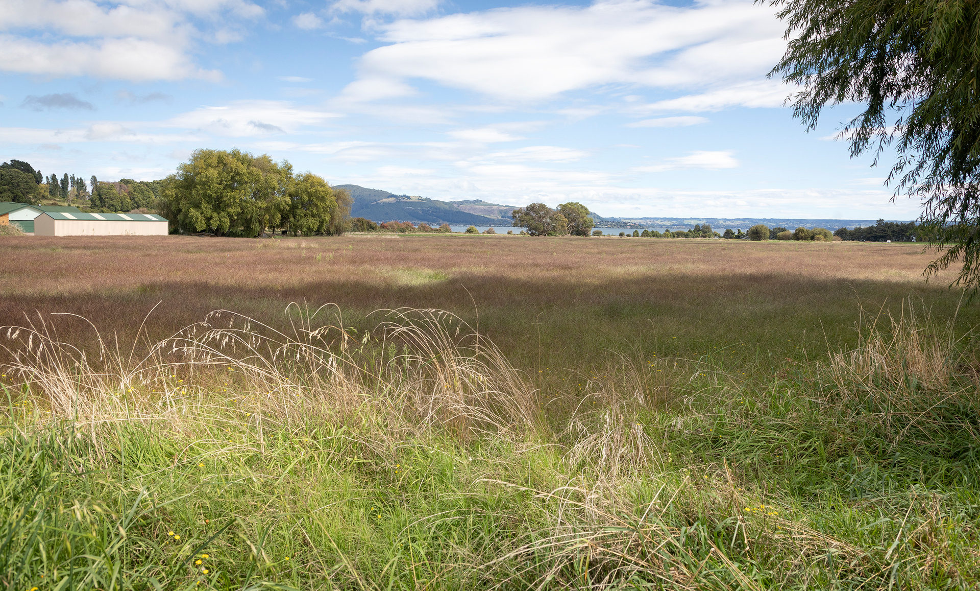 The site on Owhata Rd that will see 50 to 60 new homes built for the needy. Photo / Andrew Warner