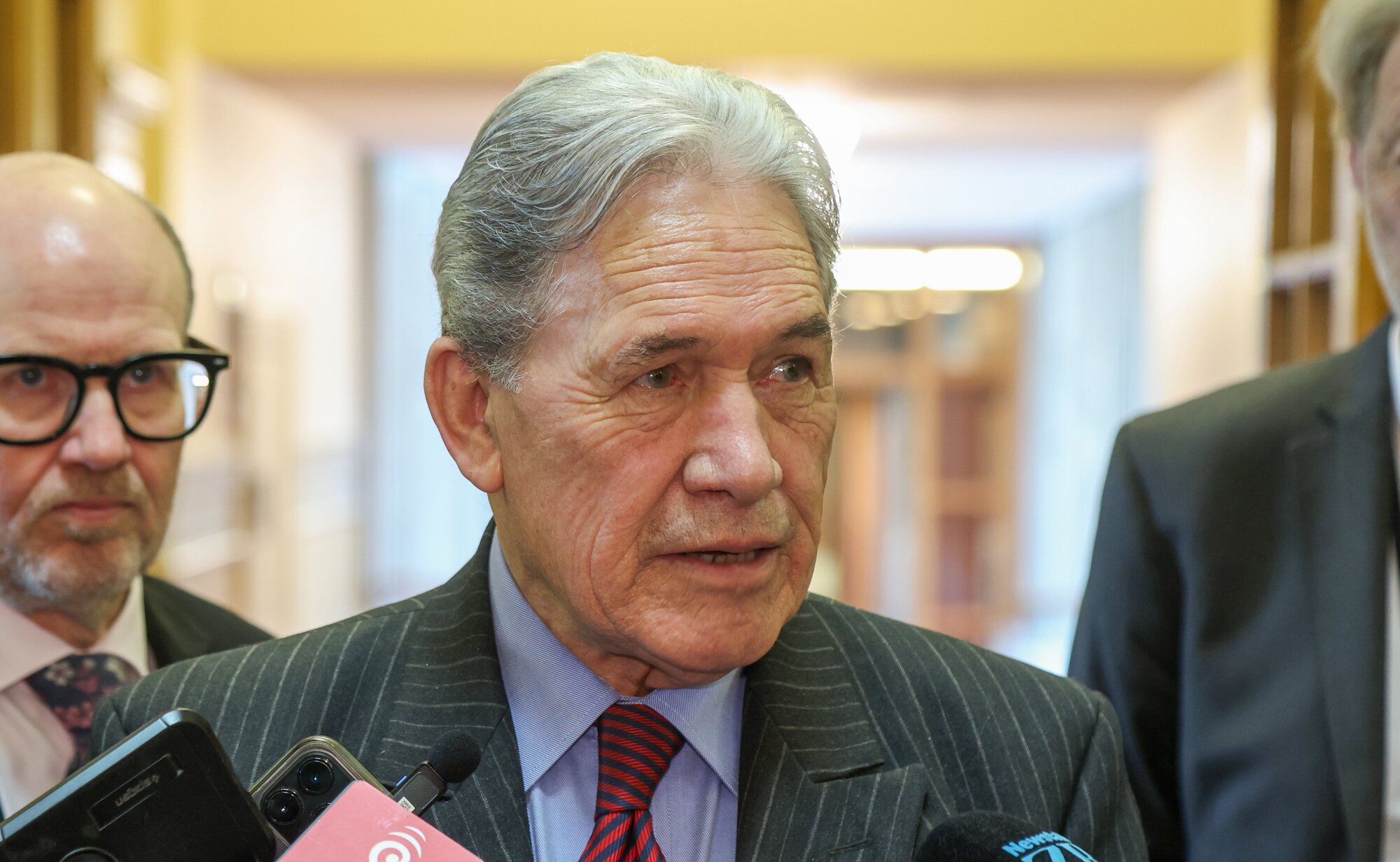 Racing Minister Winston Peters asked a ministerial advisory committee to come up with a plan for winding down greyhound racing in New Zealand. Photo / Mark Mitchell