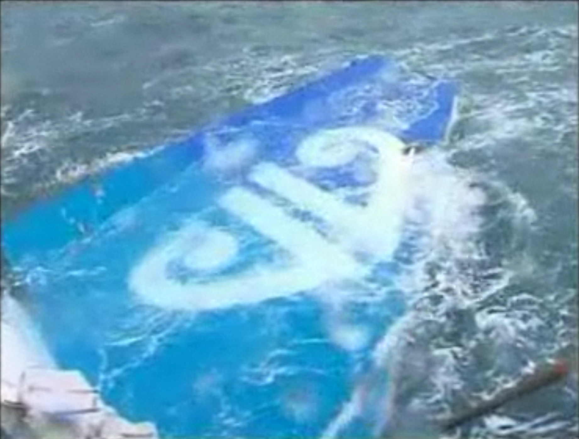 The tail of the Air New Zealand Airbus A320 that crashed off Perpignan, France, November 2008.