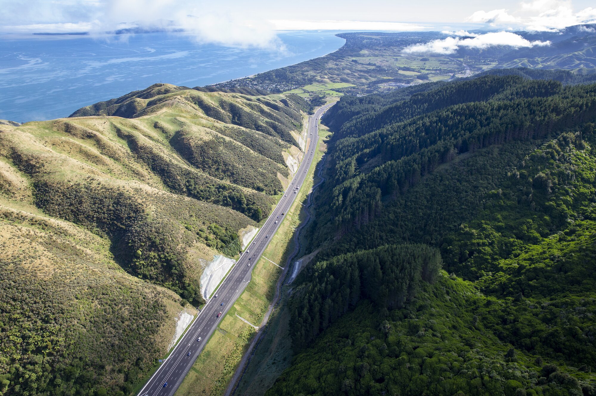 Transmission Gully, one of New Zealand's most expensive roads. Photo / Mark Mitchell
