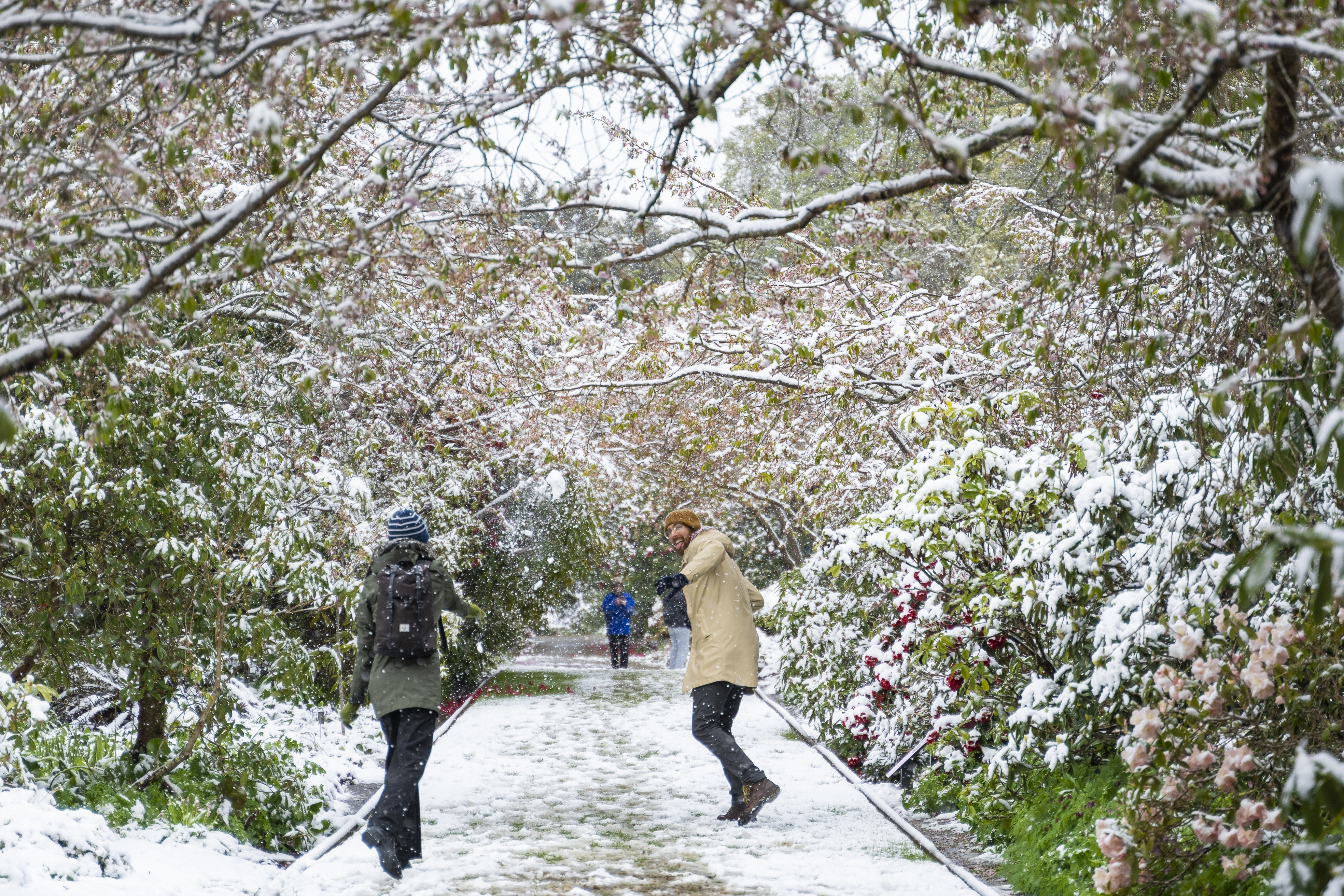 Go on a winter walk at the Botanic Gardens. Photo / DunedinNZ