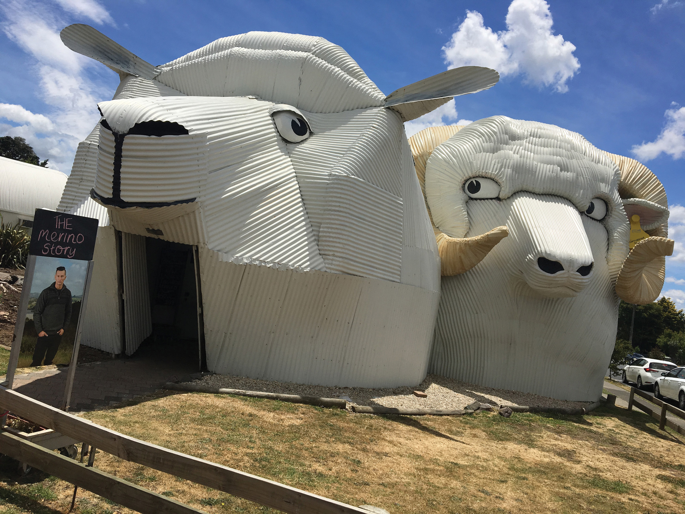 Tīrau's John Drake is famous for this corrugated-iron sheep's head building, and many others. Photo / Supplied