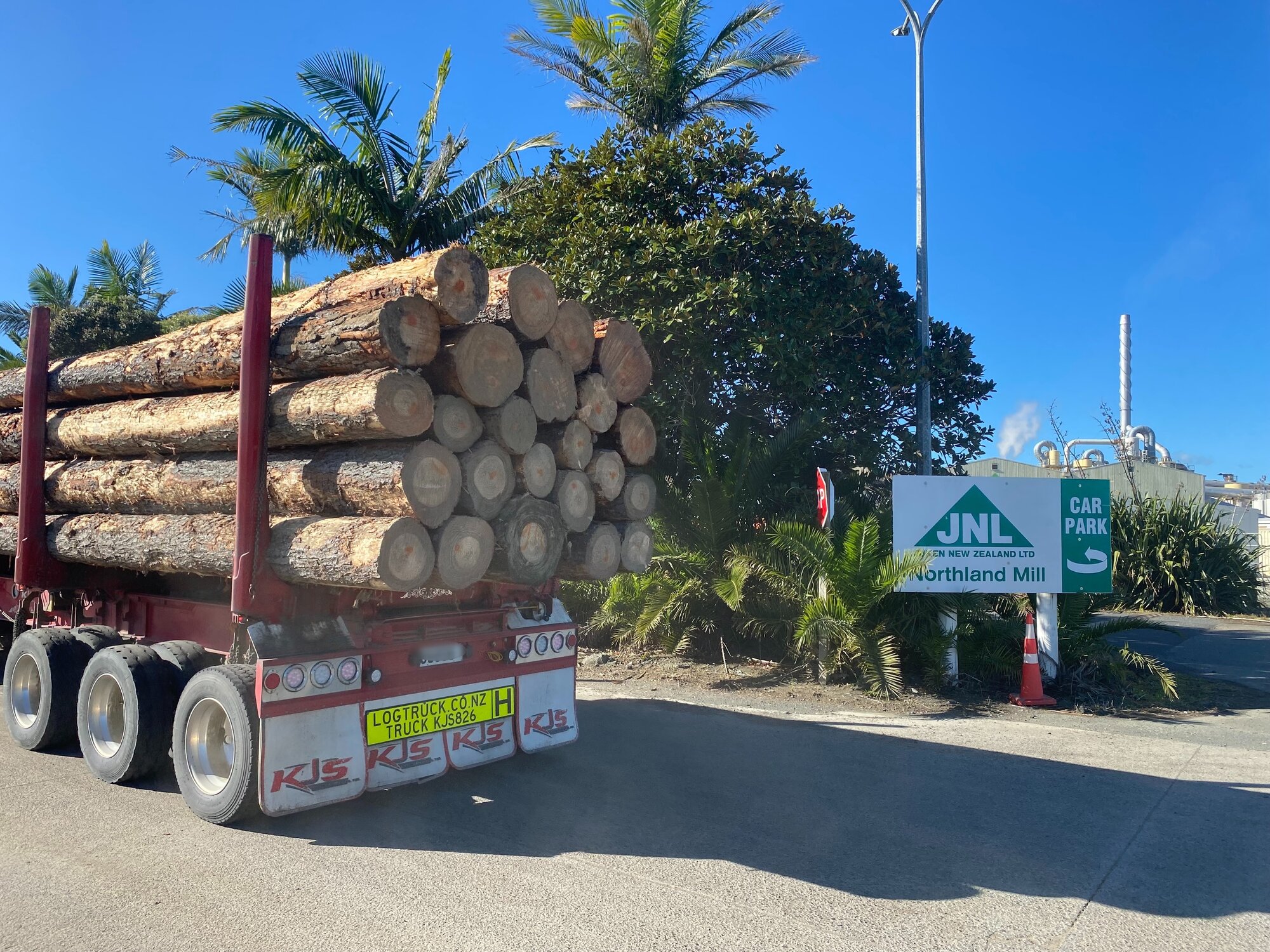 Workers face uncertainty after Juken failed to secure a buyer for its Northland Mill. Photo / Yolisa Tswanya