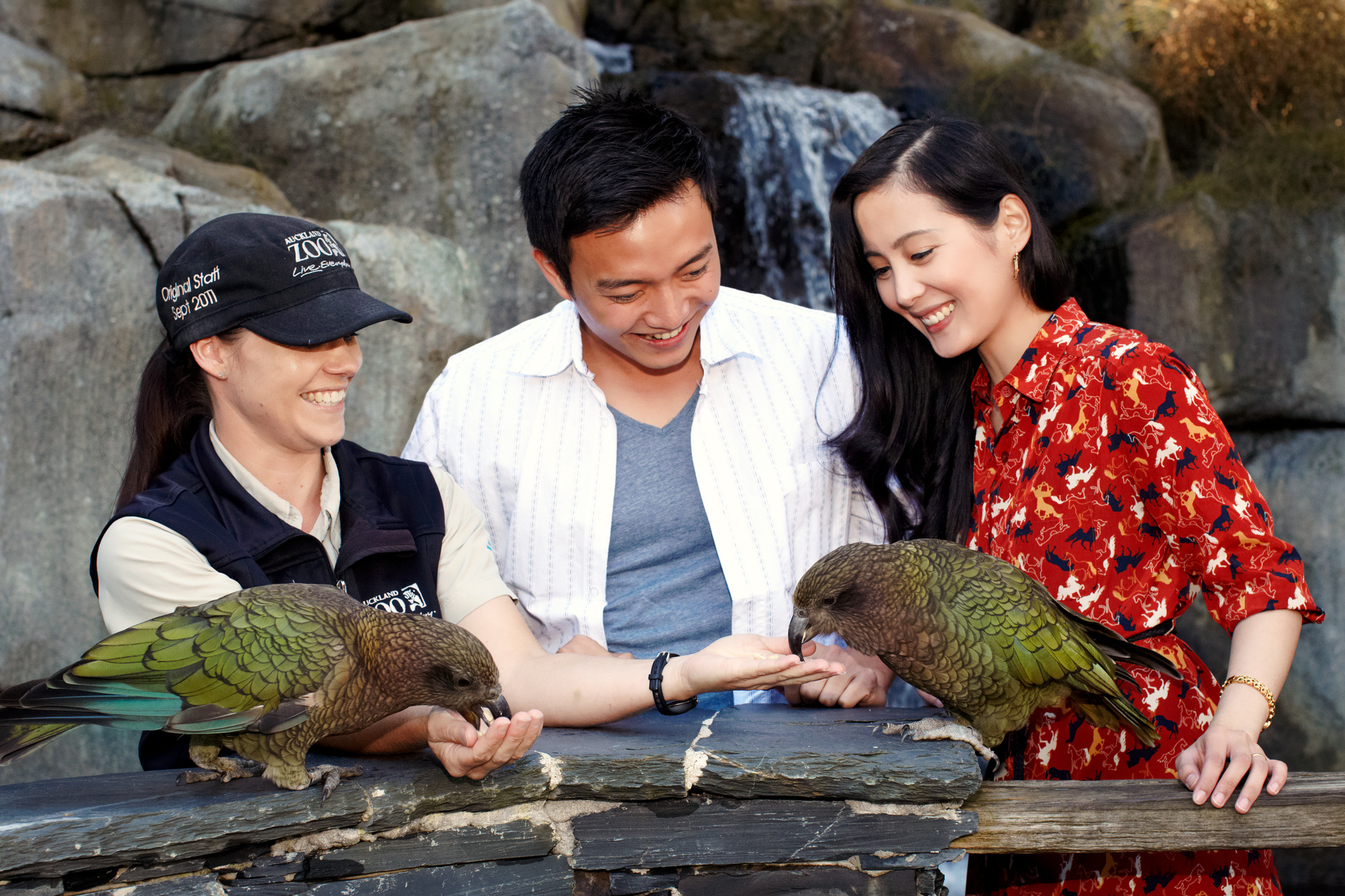 We all need to appreciate what's in our own backyard, such as the wildlife and birdlife. Photo / Chris McLennan