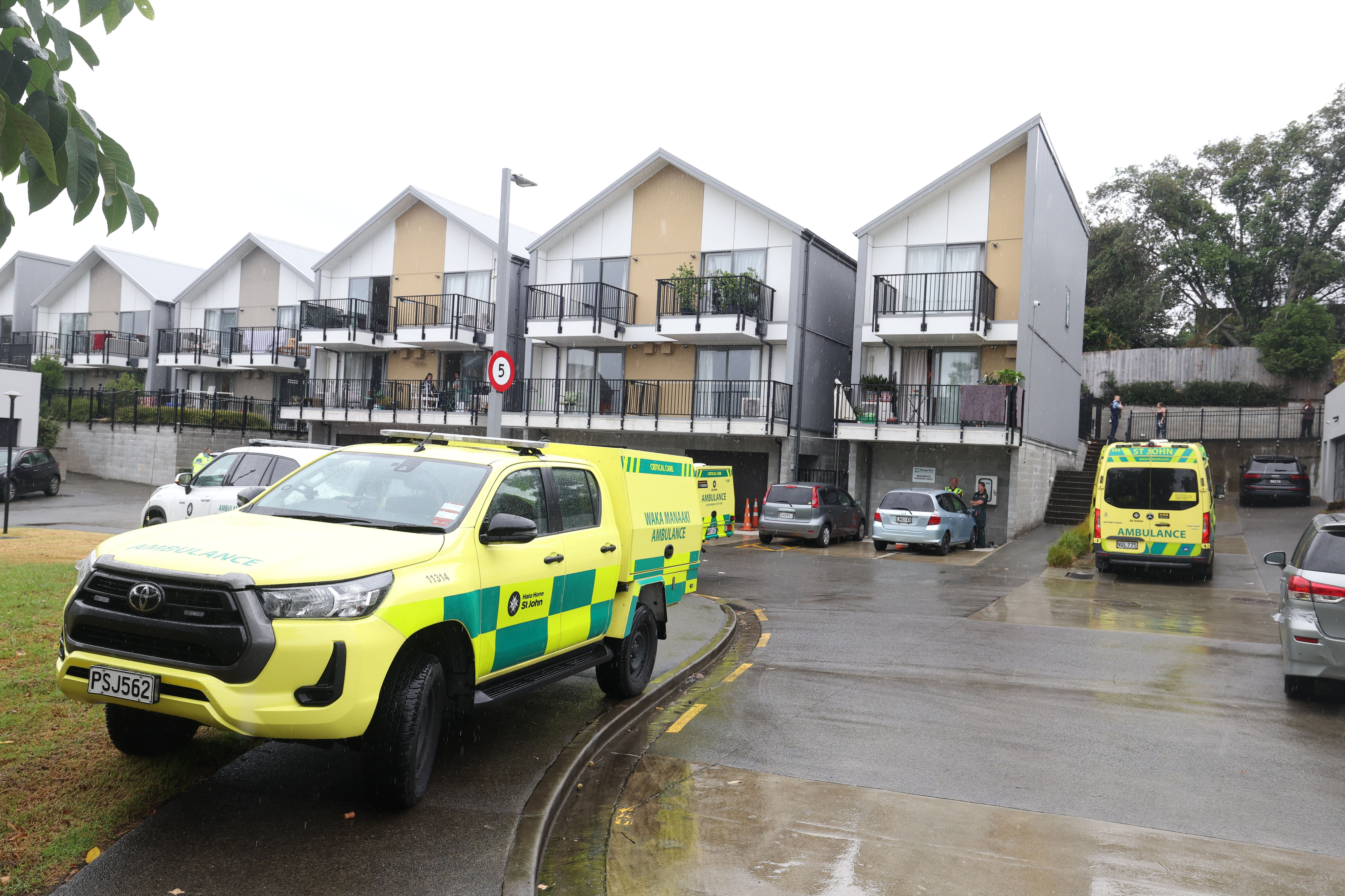 Two people have been critically injured in an incident on Asquith Ave in Mt Albert, Auckland. Photo / Jason Oxenham
