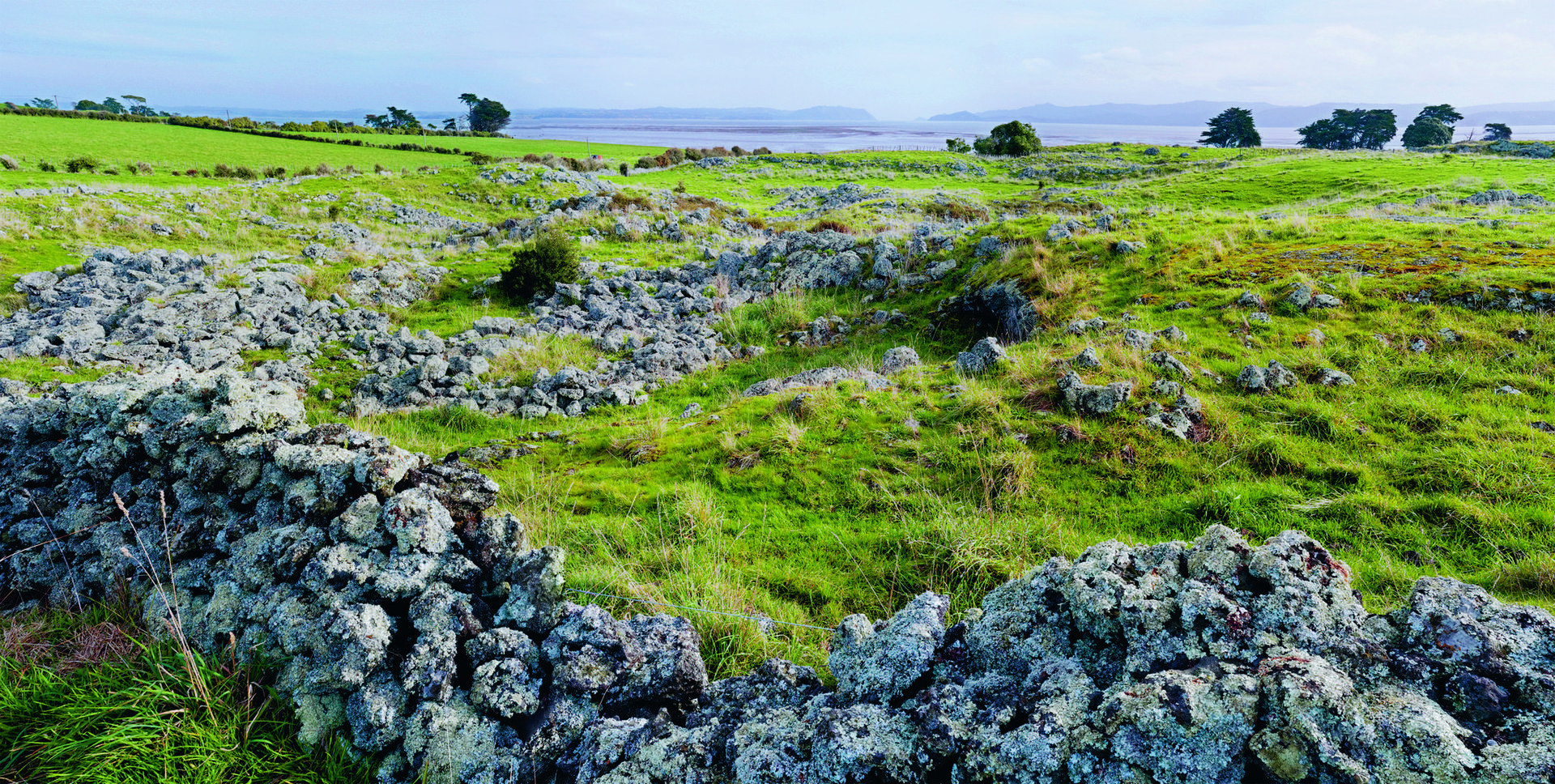 Stone structures in the Ōtuataua Stonefields at Ihumātao. Photo / Haruhiko Sameshima