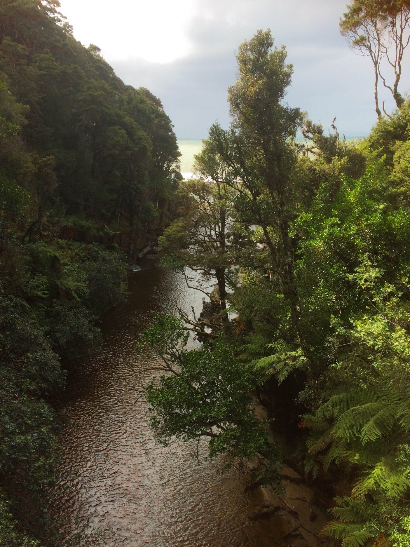 The Wairaurahiri River which drains Lake Hauroko, seen on the Hump Ridge Track. Photo / Varsha Anjali