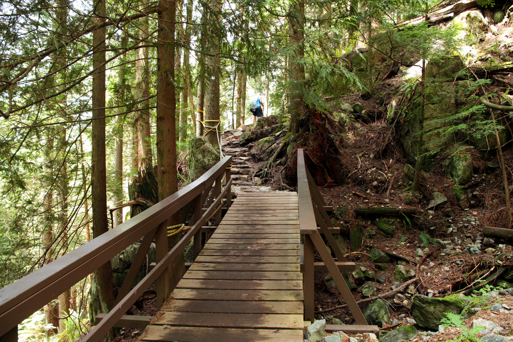 Hike ‘Nature’s Stairmaster’ up Vancouver's Grouse Mountain. Photo / Getty Images