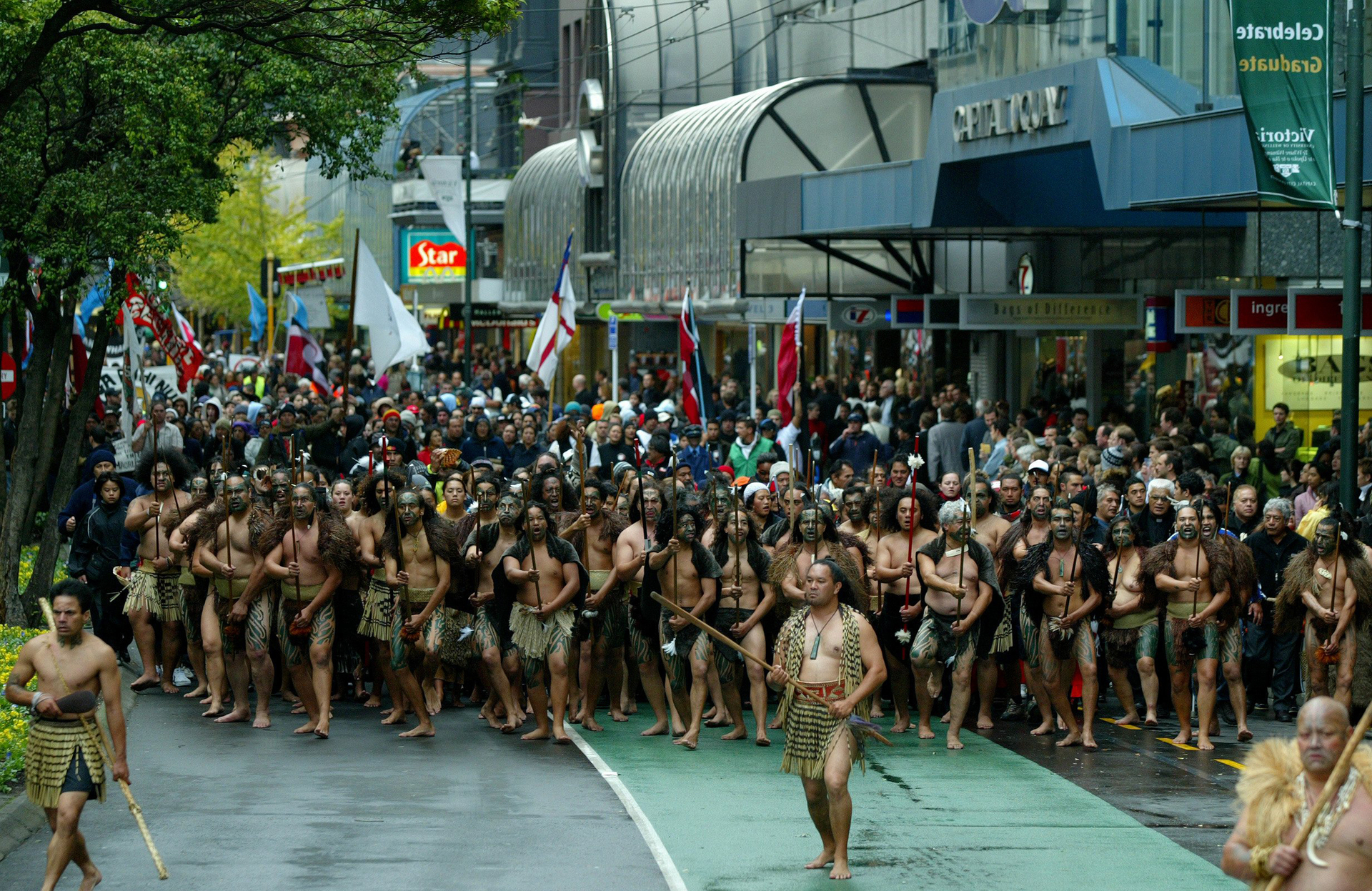 The then-Labour Government's law over the foreshore and seabed led to a massive hīkoi in 2004 and the birth of Te Pāti Māori. Photo / Kenny Rodger