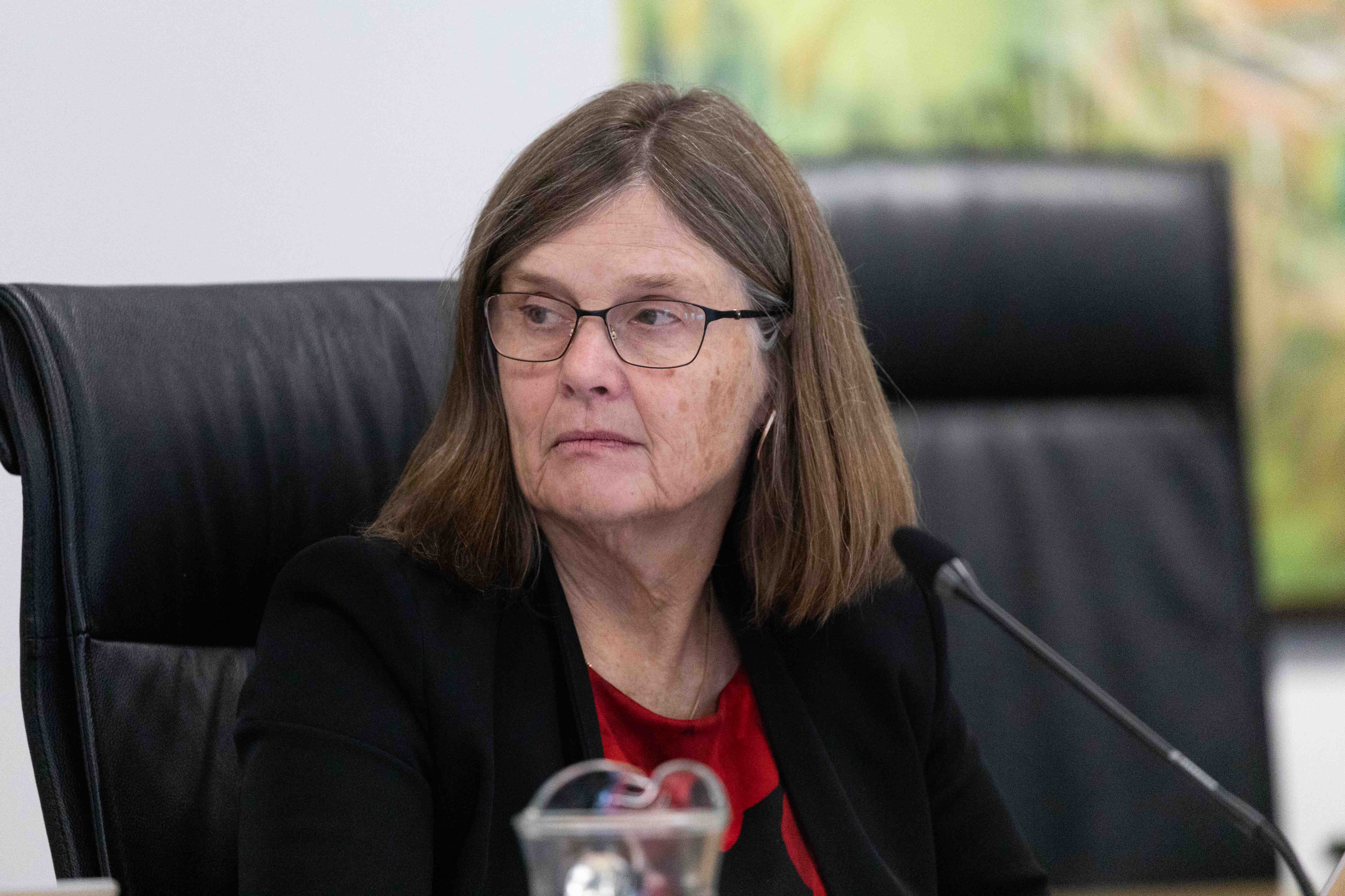 Tauranga City Council general manager of community services Barbara Dempsey. Photo / Alex Cairns