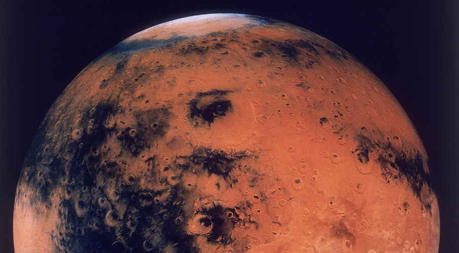 Elon Musk has said he is 'highly confident' SpaceX can launch a manned mission to Mars in 2024. Photo / Getty