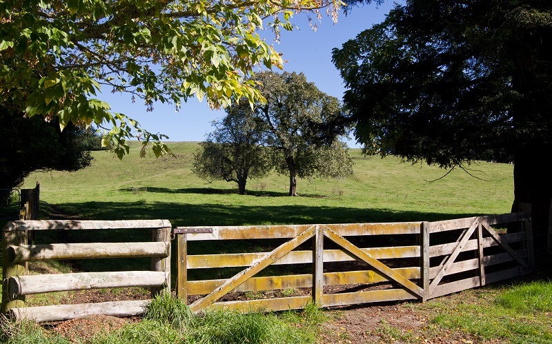 The site of the planned Sunny Downs subdivision. Photo / File