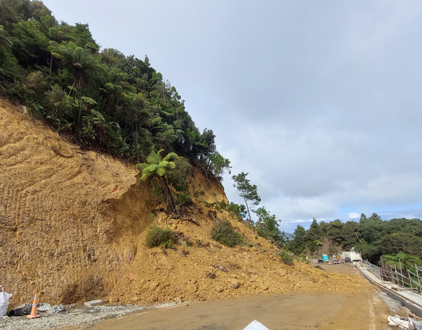 An active slip brought down a substantial amount of earth and trees at the Brynderwyns site on Wednesday.