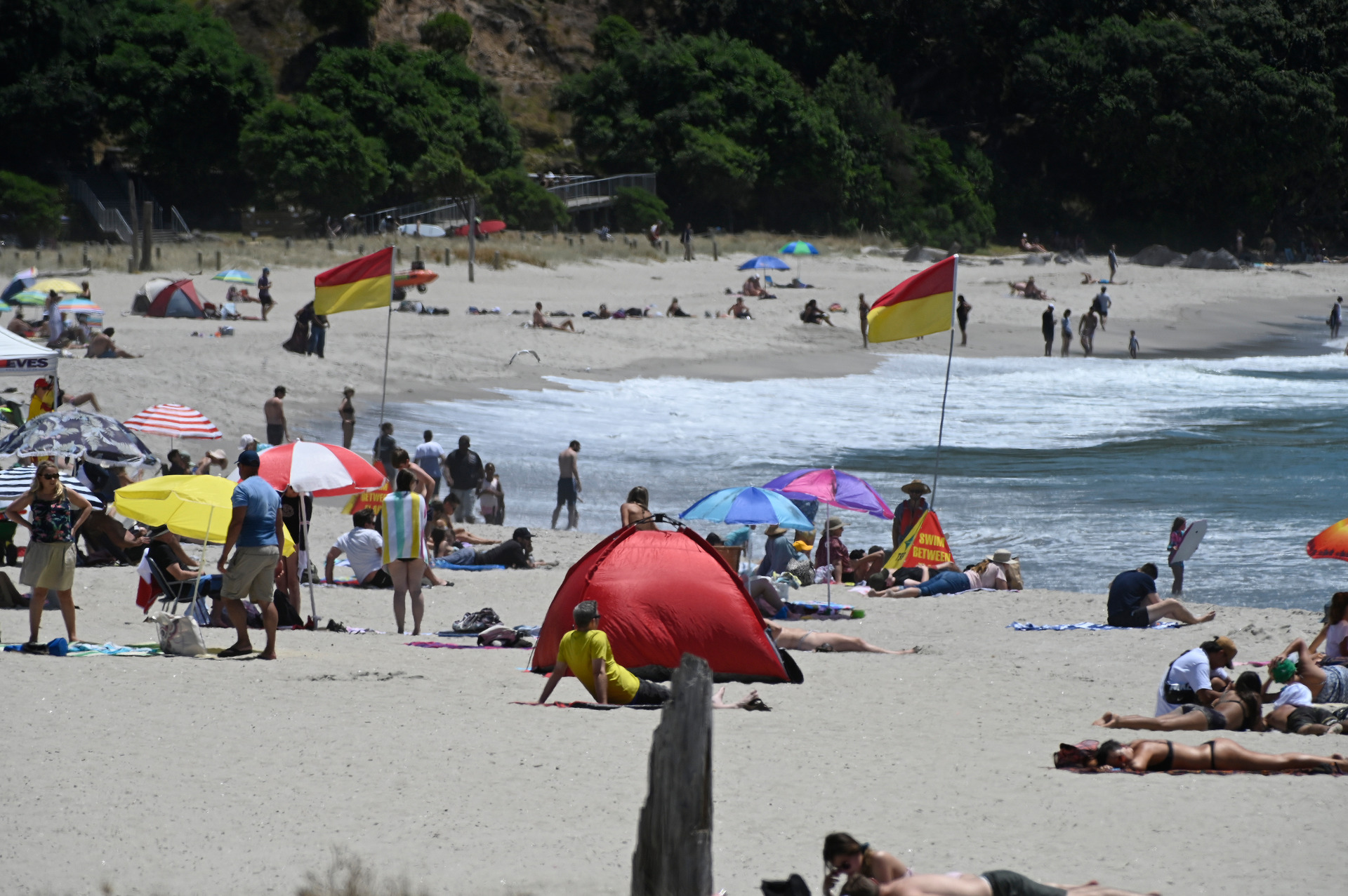 Soaking up the sun at Mt Maunganui Main Beach. Photo / George Novak