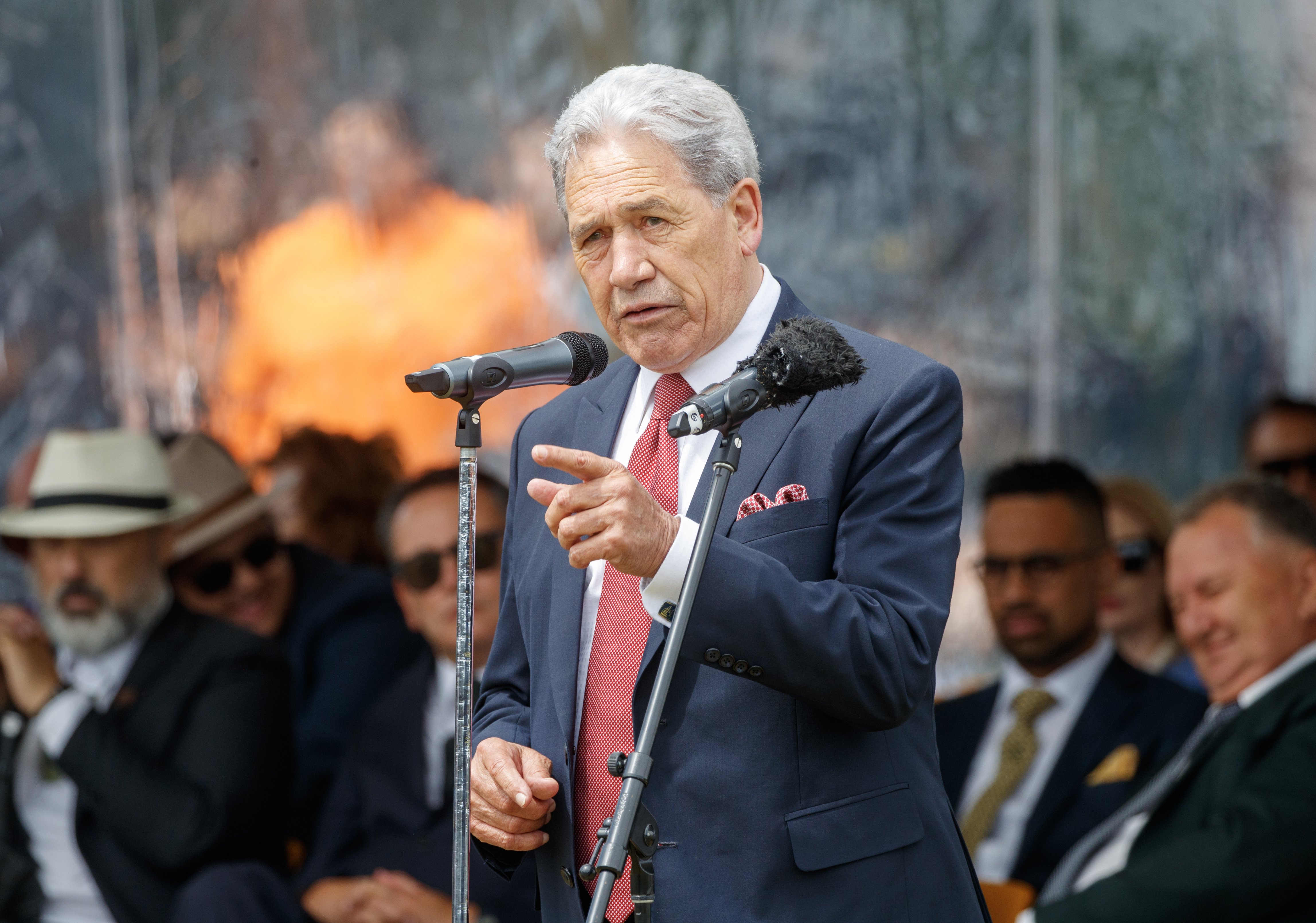Deputy Prime Minister Winston Peters. Photo / Mark Mitchell