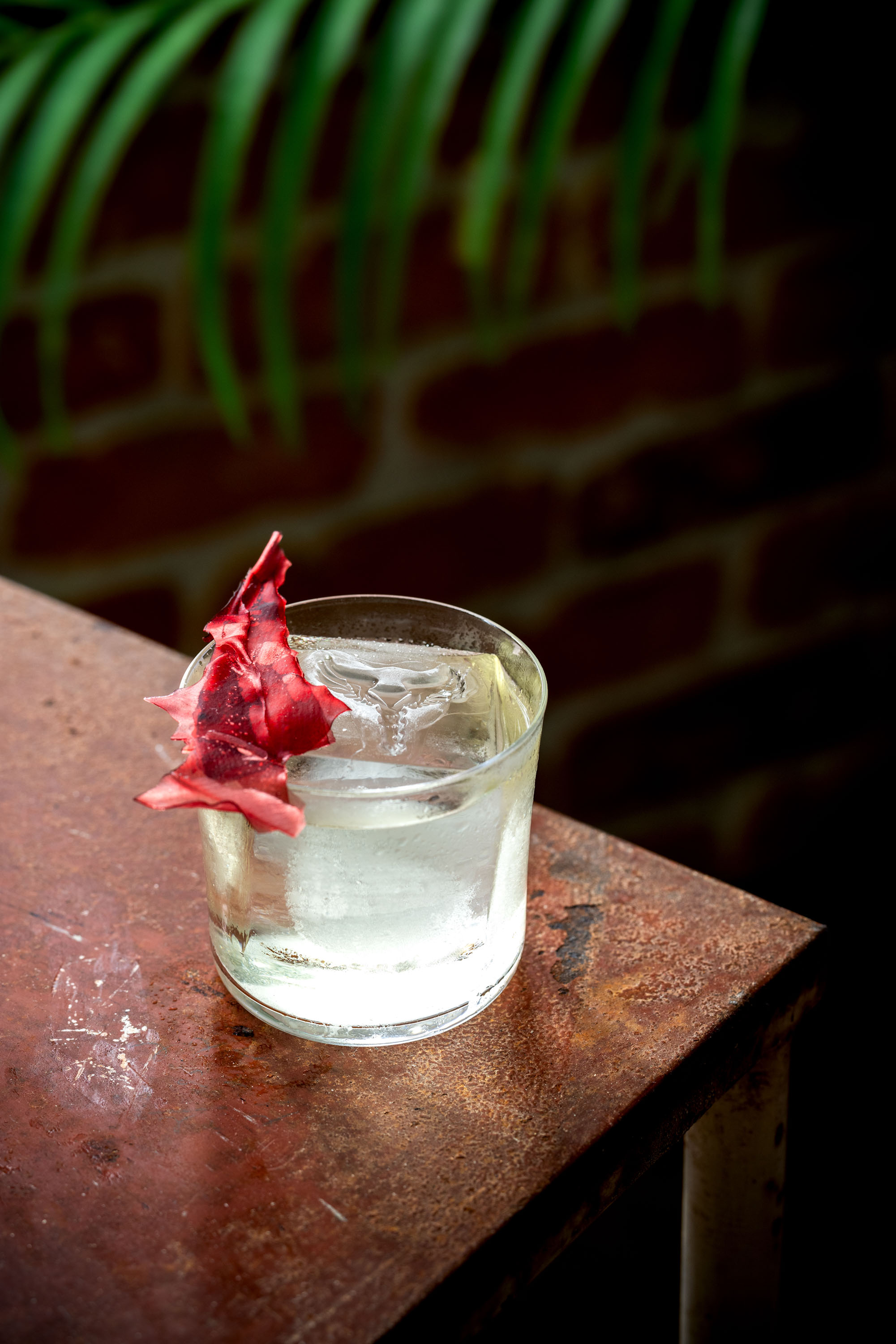 Panacea's Dry July cocktail. Photograph by Babiche Martens. www.babichemartens.com